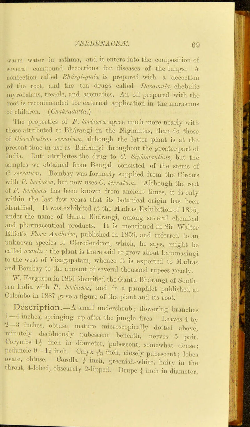 VEIiUENAGEiL]. vvann waiter in astlima, and it cntci's into the composition of several compound' decoctions for diseases of the lungs. A confection called Bhca'rji-gnda is prepared with a decoction of the root, and the ten drugs called Dasainula, chobulic myrohalanS; treacle, and aromatics. An oil prepared with the root is recommended for external apj)licn,tion in the marasmus of children. {Chakmdatta.) The properties of P. hcrbacoa agree much more nearly witl) those attributed to Bharangi in the Mghantas, than do those of Olemlcwlron scrmtim, although the latter plant is at the present time in use as Bharangi throughout the greater part of India. Dutt attributes the drug to C. Sq)//oiia/d/tas, but the samples we obtained from Bengal consisted of the stems of C. scn-atnm. Bombay was formerly supplied from the Circars with P. horbacna, but now uses C. scrratiim. Although the root of P. herhacca has been known from ancient times, it is only within the last few years that its botanical origin has been identified. It was exhibited at the Madras Exhibition of 1855, under the name of Gantu Bharangi, among several chemical and pharmaceutical products. It is mentioned in Sir Walter Elliot's Flora Aiul/irica, published in 1859, aud referred to an unknown species of Clerodendrou, which, he says, might be called ncaulis; the plant is there said to groAV about Lammasiiigi to the west of Vizagapatam, whence it is exported to Madras and Bombay to the amount of several thousand rupees yearly. W. Ferguson in 1861 identified the Q-antu Bharangi of South- ern India with P. hcrbacca, and in a pamphlet published at Colonibo in 1887 gave a figure of the plant and its root. Description.—A small undershrub ; flowering branches 1—4 iuclies, springing up after the jungle fires Leaves 4 by inches, obtuse, mature microscopically dotted above, minutely deciduou.sly pubescent beneath, nerves 5 pair. Corymbs U inch iu diameter, pubescent, somewhat dense - peduncle 0- U inch. Calyx inch, closely pubescent; lobes ovate, obtuse. Corolla ^ inch, greenish-white, hairy in the throat, 4-lobed, obscui-ely 2-lipped. Drupe i inch in diameter,