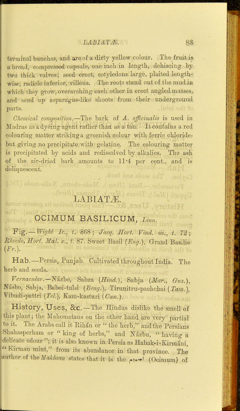 terminal bunches, and ar-e of a dirty yellow colour. The fruitii^, a broad; compressed capsule, ono inch in length, dehiscing by tvro thick valres; seed erect; cotyledons large, plaited length- wise, radicle' inferior, villous. The roots stand out of the mud in ■which they grow, overarching each other in erect angled masses, and send up asparagus-like shoots from their underground parts. Chemical composUion.—The bark of A. officinalis is used in Madras as a dyeing agent rather than as a tan; It contains a red colouring matter striking a greenish colour with ferric chloride? but giving no precipitate with gelatine. The colouring matter is precipitated by acids and redissolved by alkalies. The ash of the air-dried baj-k amounts to 11 4 per cent., and is deliquescent, -I'J ( LABIATiE. ,t OCIMUM BASILICUM, Linn. itheede. Sort. Mai:'lc:;W^. Sweet Basil (Ent/.), Grand Basilii' (Fr.). Hab. —Persia, Punjab, Cultivated throughout India, The kerb and seeds. Fernaciaar.—l^azho, Sabza {Hind.), Sabja {Mar., Ghiz.), Nasbo, Sabja, Baboi-tulsi {Beng.), Tirunitru-pachchai (Tarn.), Vibudi-pattri {Tel.), Eam-kasturi (Can,). History, Uses, &c.—The Hindus dislike the smell of this plant; the Mahometans on the other hand are very partial to it. The Arabs call it Rihdn or  the herb, and the Persians Shahasperham or  king of herbs, and J^-^zbu,  ha^dng a delicate odour ; it is also known in Persia as Habak-i-Kirmani, I Kirman mint, from its abundance in that province. The author of the Makhzan states that it is the (Ociraum) of
