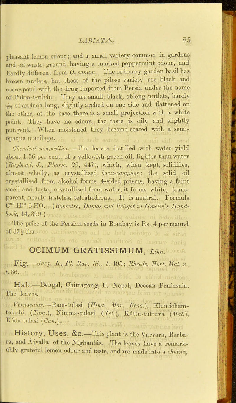 pleasant lemon odour; and a small variety common in gardens., and on waste ground having a marked peppermint odour, and hardly different from 0. canum. The ordinary garden basil has brown nutlets, but those of the pilose variety are black and correspond with the drug imported from Persia under the name of Tukm-i-rihiin. They are small, black, oblong nutlets, barely of an inch long, slightly arched on one side and flattened on, the other, at the base there is a small projection with a white point. They have no odour, the taste is oily and slightly pungent. When moistened they become coated with a semi- opaque mucilage. Chemical composition.—The leaves distilled with water yield about 1-66 per cent, of a yellowish-green oil, lighter than water (Bayhaud, ,J.\, \FJ;uirm. 20, 447), which, when kept, solidifies, almost wholly,! rasi. crystallised basil-camphor; the solid oil crystallised fi'om alcohol forms 4-sided prisms, having a faint smell and taste; ciystallised from water, it forms white, trans- parent, nearly tasteless tetrahedrons. It is neutral. Formula (T° H^^ 6 HO. (Bonastre, Dumas and Peligot in Gmelin's Hand- booL; 14, 359.) The price of the Persian seeds in Bombay is Rs. 4 per maund of 37i lbs. OCIMUM GRATISSIMUM, Lihn. Fig.—Jacq. Ic. PI. Bar. Hi., t. 495; Bheede, Sort. Mai. x., Am- Hab.—Bengal, Chittagong, E. Nepal, Deccan Peninsula, The leaves. Fei-Jioc/Yfor.—Ram-tulasi {Rind. Mar. Beng.), Elumicham- tolashi {Tarn.), Nimma-tulasi {Tel\ Kattu-tuttuva \3Ial.)^ Kada-tulasi {Can.).. History, U ses, &c.—This plant is the Varvara, Barba- ra, and A j valla of the Nighantas. The leaves have a remark- ably grateful lemon odour and taste, and are made into a rJiidnef,