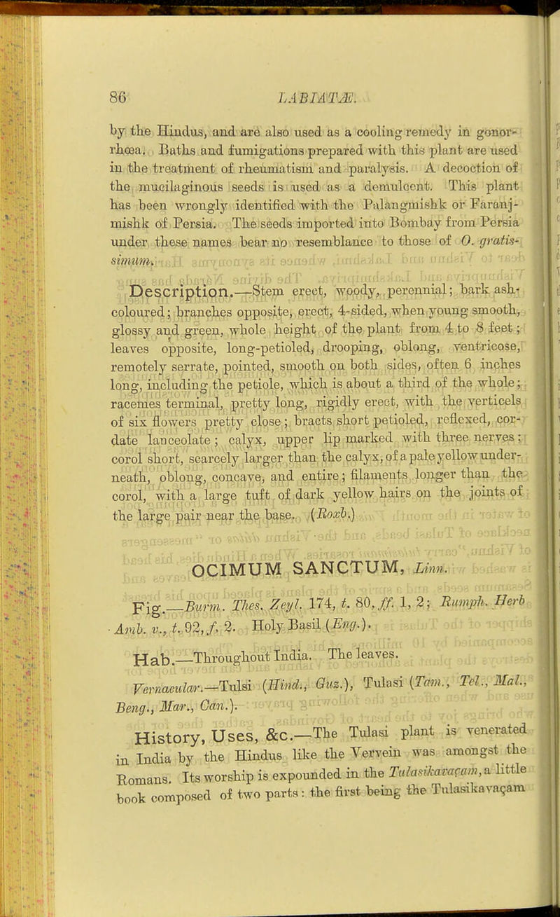 by the Hindus, and are also used as a cooling remedy in gonor- rlio3a. Batks and fumigations prepared with thiei plant are used in the treatment of rheumatism and paralysis. A' decoction of the mucilaginous seeds ' is; used as a demulcent. This plant has been wrongly identified with the Palangmishk or Faranj- mishk of Persia. The seeds imported into Bombay from Persia under these names bear no resemblance to those of 0. gratis- simunii. inxiaiY Ijescription.—Stem erect, wppdy,, perennial; bark asht coloured; branches opposite, erect, 4-sided, when ypung smooth, glossy and green, whole height of the plant from -ito B feet leaves opposite, long-petioled, drooping, oblong, ventricose, remotely serrate, pointed, smooth on both sides, often 6 inches long, including the petiole, which is about a third of the whole; racemes terminal, pretty long, rigidly erect, with the verticels of six flo^vers pretty close,; bracts,short petioled, reflesed, .cor- date lanceolate ; calyjf, upp.er lip marked with three nerv^;' coroi short, scarcely larger than the calyx,of a pale yellow imder- neath, oblong, concave, and entire; filaments longer than the corol, witha large tuft of dark yellow hairs.^oji-^^^^ioyi^^^ the lar^e.,g^i5 p^r^t^^^^^ ^ ■ - ' ■ OCIMUM SANCTUM, Linn. ■ Figy^\^t: mM% .^-^ ■ Amb.,v,,,,l,MJ' 2. HoLy.B^^sil {Eng.). ji^fe^.21'Throughoutinaia. The leaves. ■Vernacular.-TuU {Hind., Guz.), Tulasi {Tam., Tel., Mai., Beng., Mar., Can.). History, Uses, &C.—The Tulasi plant yenerated in India by the Hindus lil^e the Vervein was amongst the Eomans. Its worship is expounded in the TulasiJcaracam,^ little book composed of two parts: the first being the Tulasikavaqam
