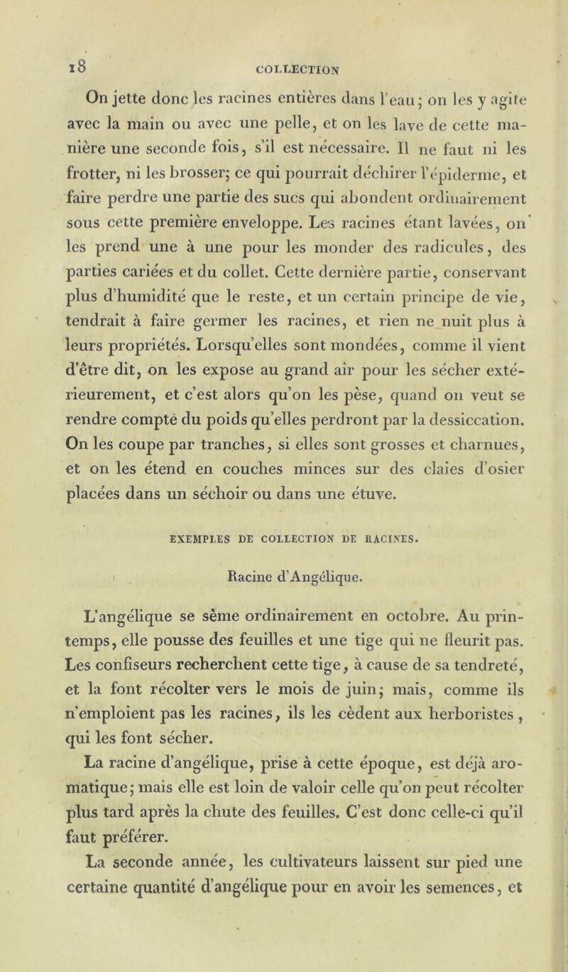 x8 On jette donc les racines entières dans l’eau ; on les y agite avec la main ou avec une pelle, et on les lave de cette ma- nière une seconde fois, s’il est nécessaire. Il ne faut ni les frotter, ni les brosserj ce qui pourrait déchirer l’épiderme, et faire perdre une partie des sucs qui abondent ordinairement sous cette première enveloppe. Les racines étant lavées, on les prend une à une pour les monder des radicules, des parties cariées et du collet. Cette dernière partie, conservant plus d’humidité que le reste, et un certain principe de vie, tendrait à faire germer les racines, et rien ne_nuit plus à leurs propriétés. Lorsqu’elles sont mondées, comme il vient d’être dit, on les expose au grand air pour les sécher exté- rieurement, et c’est alors qu’on les pèse, quand on veut se rendre compté du poids qu’elles perdront par la dessiccation. On les coupe par tranches, si elles sont grosses et charnues, et on les étend en couches minces sur des claies d’osier placées dans un séchoir ou dans une étuve. EXEMPLES DE COLLECTION DE RACINES. I . Racine d’Angélique. L’angélique se sème ordinairement en octobre. Au prin- temps, elle pousse des feuilles et une tige qui ne fleurit pas. Les confiseurs recherchent cette tige, à cause de sa tendreté, et la font récolter vers le mois de juin; mais, comme ils n’emploient pas les racines, ils les cèdent aux herboristes , qui les font sécher. La racine d’angélique, prise à cette époque, est déjà aro- matique; mais elle est loin de valoir celle qu’on peut récolter plus tard après la chute des feuilles. C’est donc celle-ci qu’il faut préférer. La seconde année, les cultivateurs laissent sur pied une certaine quantité d’angélique pour en avoir les semences, et
