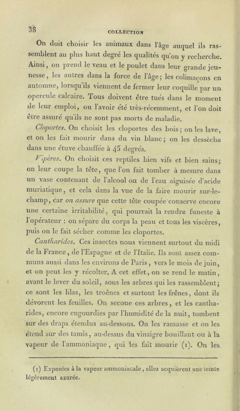 COLLECTIOIT On doit choisir les animaux dans l’âge auquel ils ras- semblent au plus haut degré les qualités qu’on y recherche. Ainsi, on prend le veau et le poulet dans leur grande jeu- nesse, les autres dans la force de l’âge ; les colimaçons en automne, lorsqu ils viennent de fermer leur coquille par un opercule calcaire. Tous doivent être tués dans le moment de leur emploi, ou lavoir été très-récemment, et l’on doit être assuré qu’ils ne sont pas morts de maladie. Cloportes. On choisit les cloportes des bois ; on les lave et on les fait mourir dans du vin blanc ; on les dessèche dans une étuve chauffée à 45 degrés. F',pères. On choisit ces reptiles bien vifs et bien sains; on leur coupe la tete, que l’on fait tomber à mesure dans un vase contenant de 1 alcool ou de l’eau aiguisée d’acide muriatique, et cela dans la vue de la faire mourir sur-le- champ, car on assure que cette tête coupée'conserve encore une certaine irritabilité, qui pourrait la rendre funeste à l’opérateur : on sépare du corps la peau et tous les viscères, puis on le fait sécher comme les cloportes. Cantharides. Ces insectes nous viennent surtout du midi de la France , de l’Espagne et de l’Italie. Ils sont assez com- muns aussi dans les environs de Paris , vers le mois de juin, et on peut les y récolter. A cet effet, on se rend le matin, avant le lever du soleil, sous les arbres qui les rassemblent; ce sont les lilas, les troènes et surtout les frênes, dont ils dévorent les feuilles. On secoue ces arbres, et les cantba- rides, encore engourdies par l’humidité de la nuit, tombent sur des draps étendus au-dessous. On les ramasse et on les étend sur des tamis, au-dessus du vinaigre bouillant ou à la vapeur de l’ammoniaque, qui les fait mourir (i). On les (i) Exposées à la vapeur ammoniacale , elles acquièrent une teinte légèrement azurée.
