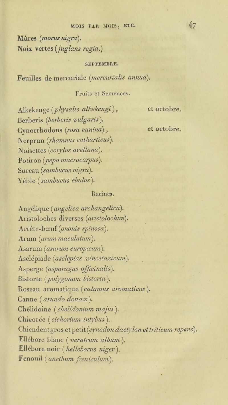 Mûres {morus nigra). Noix vertes {juglans regia.) SEPTEMBRE. Feuilles de mercuriale {mercuriales anima). Fruits et Semences. Alkekenge {physaUs alkekengi), et octobre. Berberis {berheris ■vulgaris). Cynorrhodons {rosa canina) , et octobre. Nerprun {rhamnus catharticus). Noisettes {coijlus avellana). Potiron {pepo macrocarpus). Sureau {sambucus nigra). Yèble ( sambucus ebulus). Racines. Angélicpie {angelica archangelica). Aristoloches diverses {aristolochiœ). Arrête-bœuf {ononis spinosa). Arum {arum maculatum). Asarum {asarutn europœum). Asclépiade {asclepias ’vincetoxicum). Asperge {asparagus officinalis). Bistorte {poljgonum historta). Roseau aromatique {calamus aromaticus). Canne ( arundo donax ). Cbélidoine ( chelidonium inajus ). Chicorée {cichorium intybus'). Chiendent gros et petit {cynodon dactylon et triticum repens'). Ellébore blanc {veratrum album'). Ellébore noir {helleborus niger). Fenouil ( ancthum fccnicuhimi).