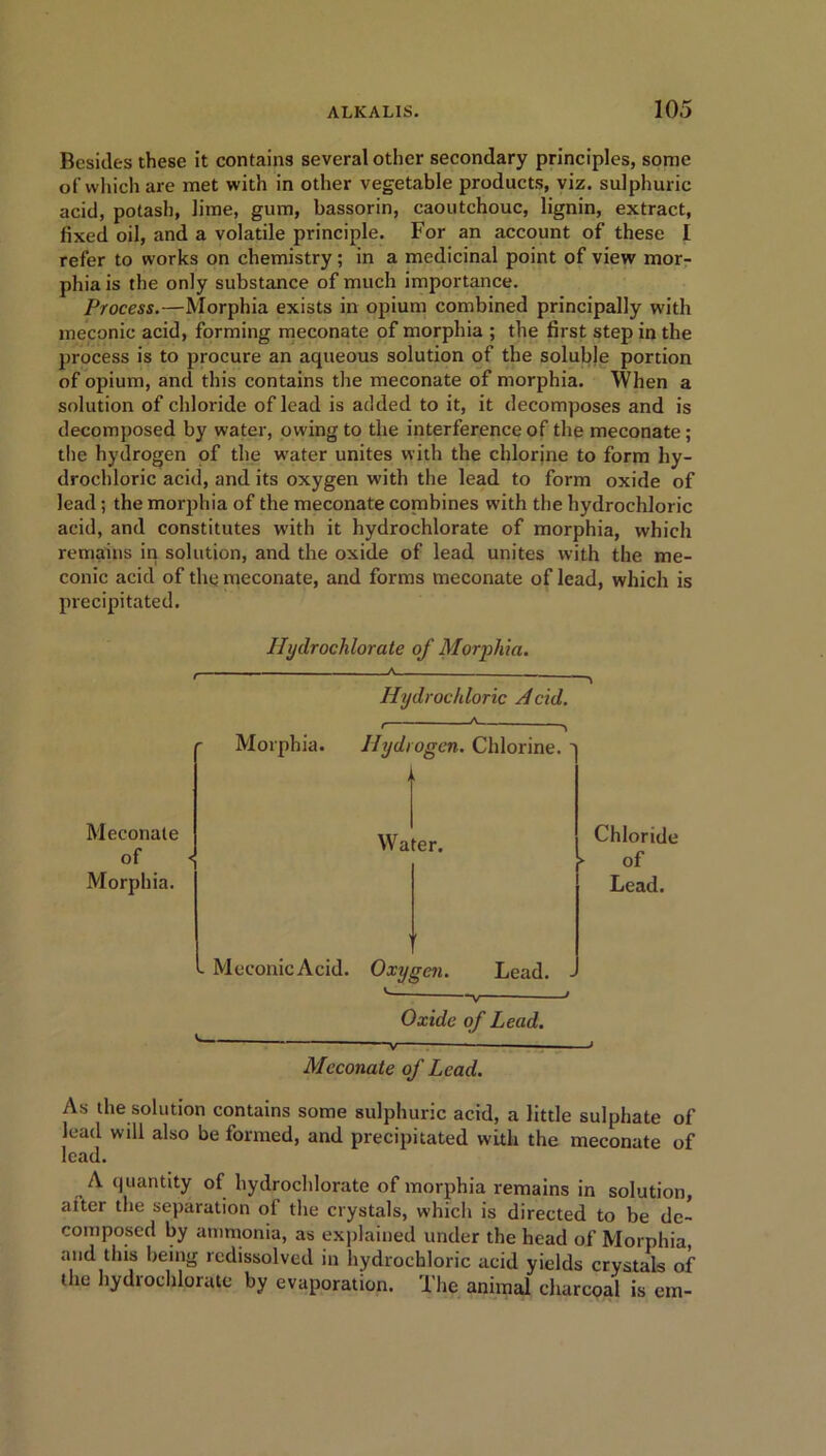 Besides these it contains several other secondary principles, some of which are met with in other vegetable products, viz. sulphuric acid, potash, lime, gum, bassorin, caoutchouc, lignin, extract, fixed oil, and a volatile principle. For an account of these I refer to works on chemistry; in a medicinal point of view mor- phia is the only substance of much importance. Process.—Morphia exists in opium combined principally with meconic acid, forming meconate of morphia ; the first step in the process is to procure an aqueous solution of the soluble portion of opium, and this contains the meconate of morphia. When a solution of chloride of lead is added to it, it decomposes and is decomposed by water, owing to the interference of the meconate; the hydrogen of the water unites with the chlorine to form hy- drochloric acid, and its oxygen with the lead to form oxide of lead; the morphia of the meconate combines with the hydrochloric acid, and constitutes with it hydrochlorate of morphia, which remains in solution, and the oxide of lead unites with the me- conic acid of the meconate, and forms meconate of lead, which is precipitated. Hydrochlorate of Morphia. Hydrochloric Acid. Morphia. Hydrogen. Chlorine. ' Meconate of < Morphia. Water. r Chloride of Lead. I Meconic Acid. Oxygen. Lead. - Oxide of Lead. V Meconate of Lead. As the solution contains some sulphuric acid, a little sulphate of lead will also be formed, and precipitated with the meconate of lead. A quantity of hydrochlorate of morphia remains in solution, alter the separation of the crystals, which is directed to be de- composed by ammonia, as explained under the head of Morphia, and this being redissolved in hydrochloric acid yields crystals of the hydrochlorate by evaporation. The animal charcoal is em-