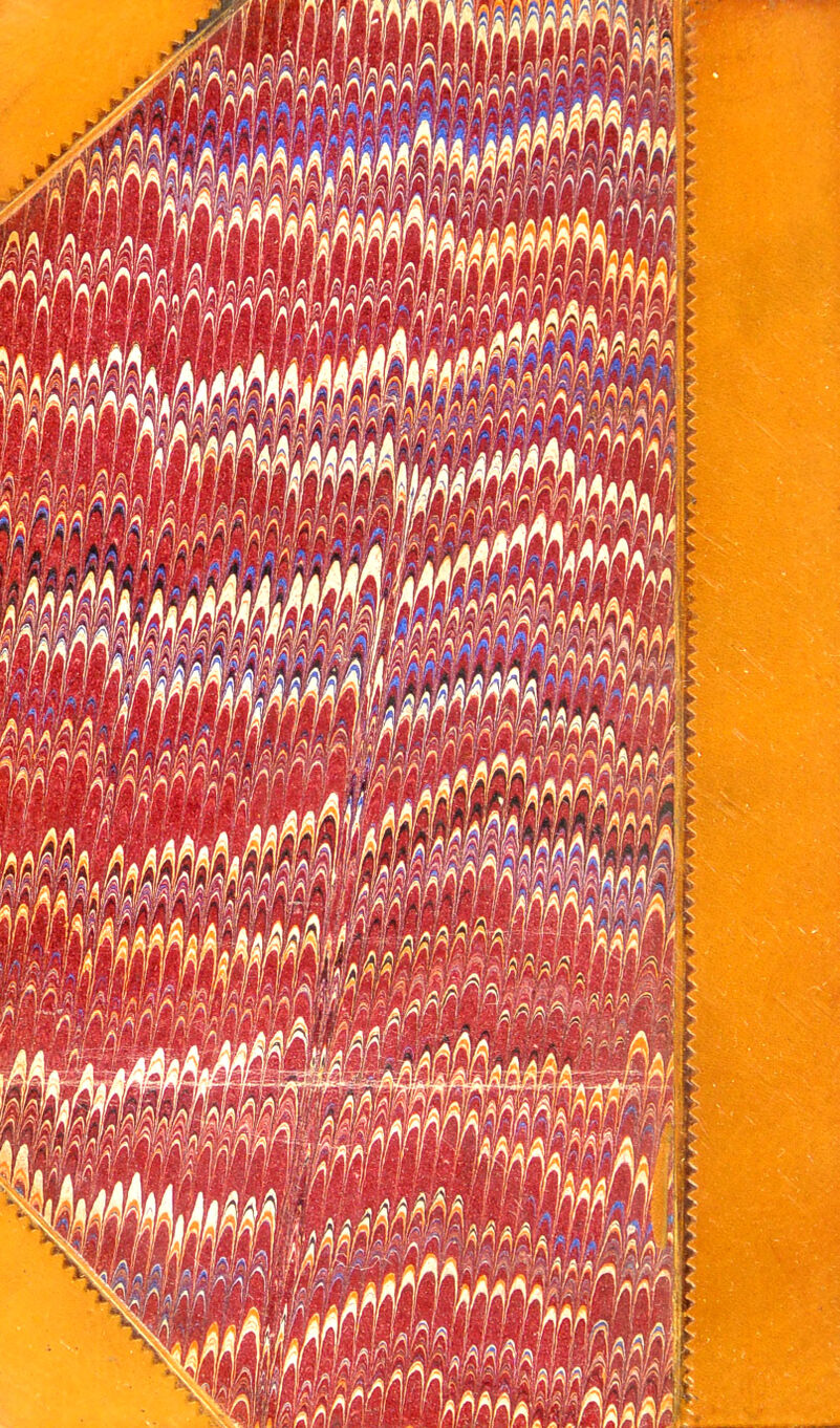 No text description is available for this image