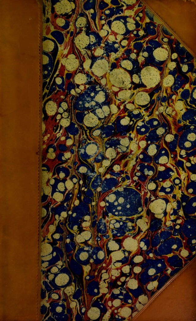 digitised image 1