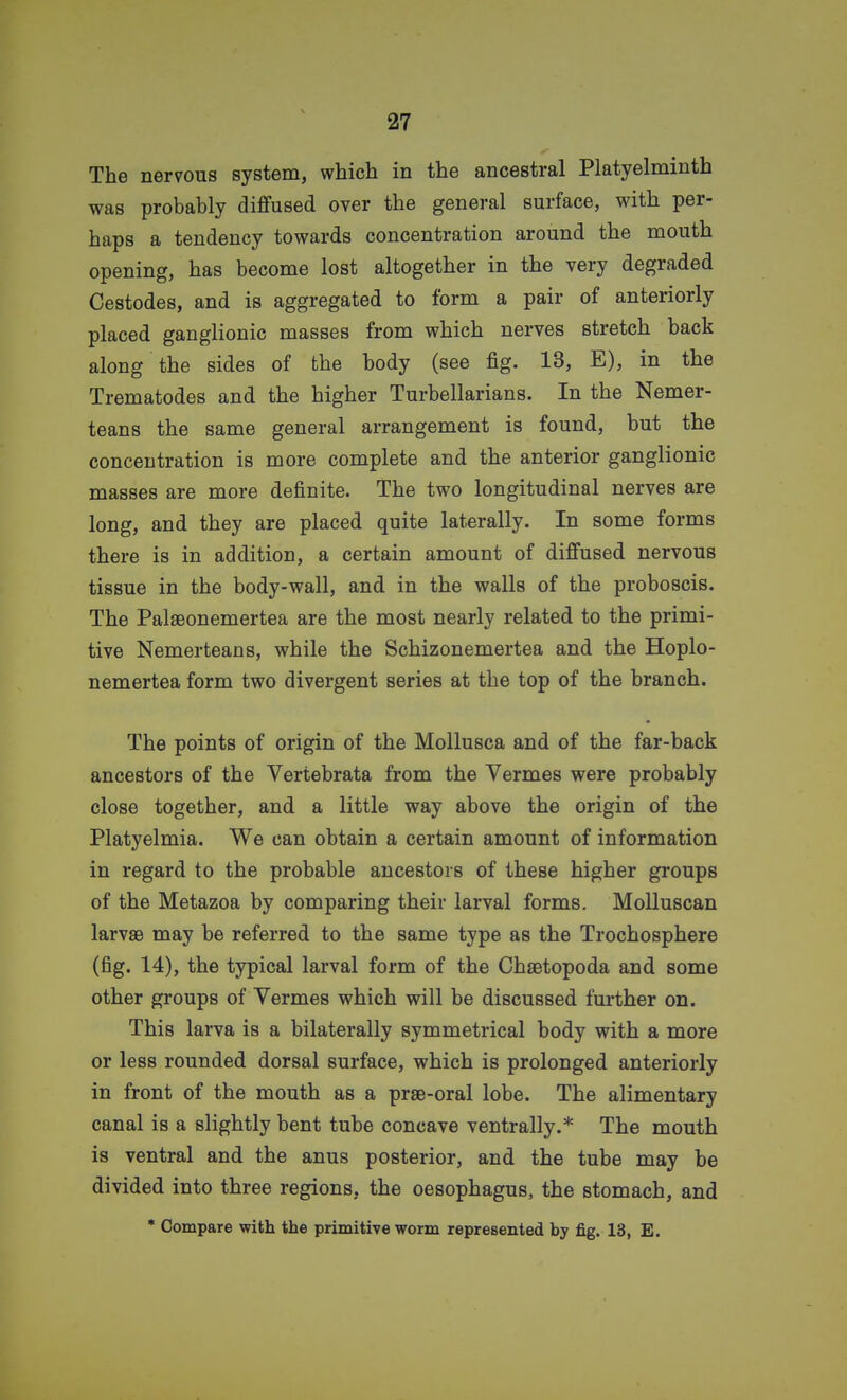 The nervous system, which in the ancestral Platyelminth was probably diffused over the general surface, with per- haps a tendency towards concentration around the mouth opening, has become lost altogether in the very degraded Cestodes, and is aggregated to form a pair of anteriorly placed ganglionic masses from which nerves stretch back along the sides of the body (see fig. 13, E), in the Trematodes and the higher Turbellarians. In the Nemer- teans the same general arrangement is found, but the concentration is more complete and the anterior ganglionic masses are more definite. The two longitudinal nerves are long, and they are placed quite laterally. In some forms there is in addition, a certain amount of diffused nervous tissue in the body-wall, and in the walls of the proboscis. The Palseonemertea are the most nearly related to the primi- tive Nemerteans, while the Schizonemertea and the Hoplo- nemertea form two divergent series at the top of the branch. The points of origin of the MoUusca and of the far-back ancestors of the Vertebrata from the Vermes were probably close together, and a little way above the origin of the Platyelmia. We can obtain a certain amount of information in regard to the probable ancestors of these higher groups of the Metazoa by comparing their larval forms. MoUuscan larvae may be referred to the same type as the Trochosphere (fig. 14), the typical larval form of the Chsetopoda and some other groups of Vermes which will be discussed further on. This larva is a bilaterally symmetrical body with a more or less rounded dorsal surface, which is prolonged anteriorly in front of the mouth as a prse-oral lobe. The alimentary canal is a slightly bent tube concave ventrally.* The mouth is ventral and the anus posterior, and the tube may be divided into three regions, the oesophagus, the stomach, and • Compare with the primitive worm represented by fig. 13, E.