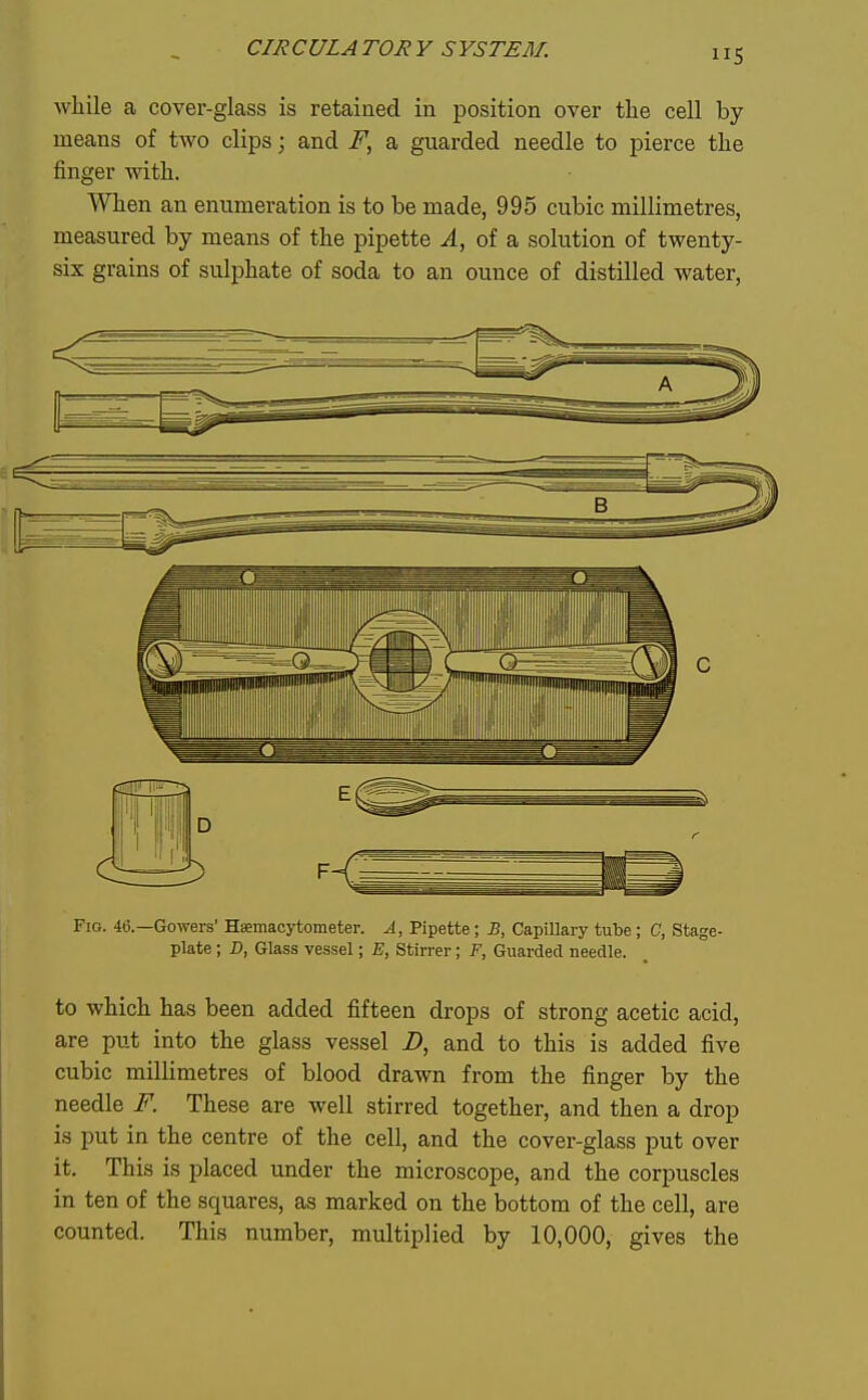 while a cover-glass is retained in position over the cell by means of two clips; and F, a guarded needle to pierce the finger with. When an enumeration is to be made, 995 cubic millimetres, measured by means of the pipette ^, of a solution of twenty- six grains of sulphate of soda to an ounce of distilled water. Fio. 40.—Gowers' Hsemacytometer. A, Pipette; J3, Capillary tube ; G, Stage- plate ; J), Glass vessel; E, Stirrer; ¥, Guarded needle. to which has been added fifteen drops of strong acetic acid, are put into the glass vessel Z>, and to this is added five cubic millimetres of blood drawn from the finger by the needle F. These are well stirred together, and then a drop is put in the centre of the cell, and the cover-glass put over it. This is placed under the microscope, and the corpuscles in ten of the squares, as marked on the bottom of the cell, are counted. This number, multiplied by 10,000, gives the