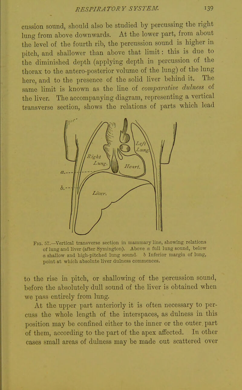 cussion sound, should also be studied by percussing tlie right lung from above downwards. At the lower part, from about the level of the fourth rib, the percussion sound is higher in pitch, and shallower than above that limit: this is due to the diminished depth (applying depth in percussion of the thorax to the antero-posterior volume of the lung) of the lung here, and to the presence of the solid liver behind it. The same limit is known as the line of comparative dulness of the liver. The accompanying diagram, representing a vertical transverse section, shows the relations of parts which lead Fio. 57.—Vertical transverse section in mammary line, showing relations of lung and liver (after Symington). Above a full lung sound, below a shallow and high-pitched lung sound. & Inferior margin of lung, point at which absolute liver dulness commences. to the rise in pitch, or shallowing of the percussion sound, before the absolutely dull sound of the liver is obtained when we pass entirely from lung. At the upper part anteriorly it is often necessary to per- cuss the whole length of the interspaces, as dulness in this position may be confined either to the inner or the outer, part of them, according to the part of the apex affected. In other cases small areas of dulness may be made out scattered over