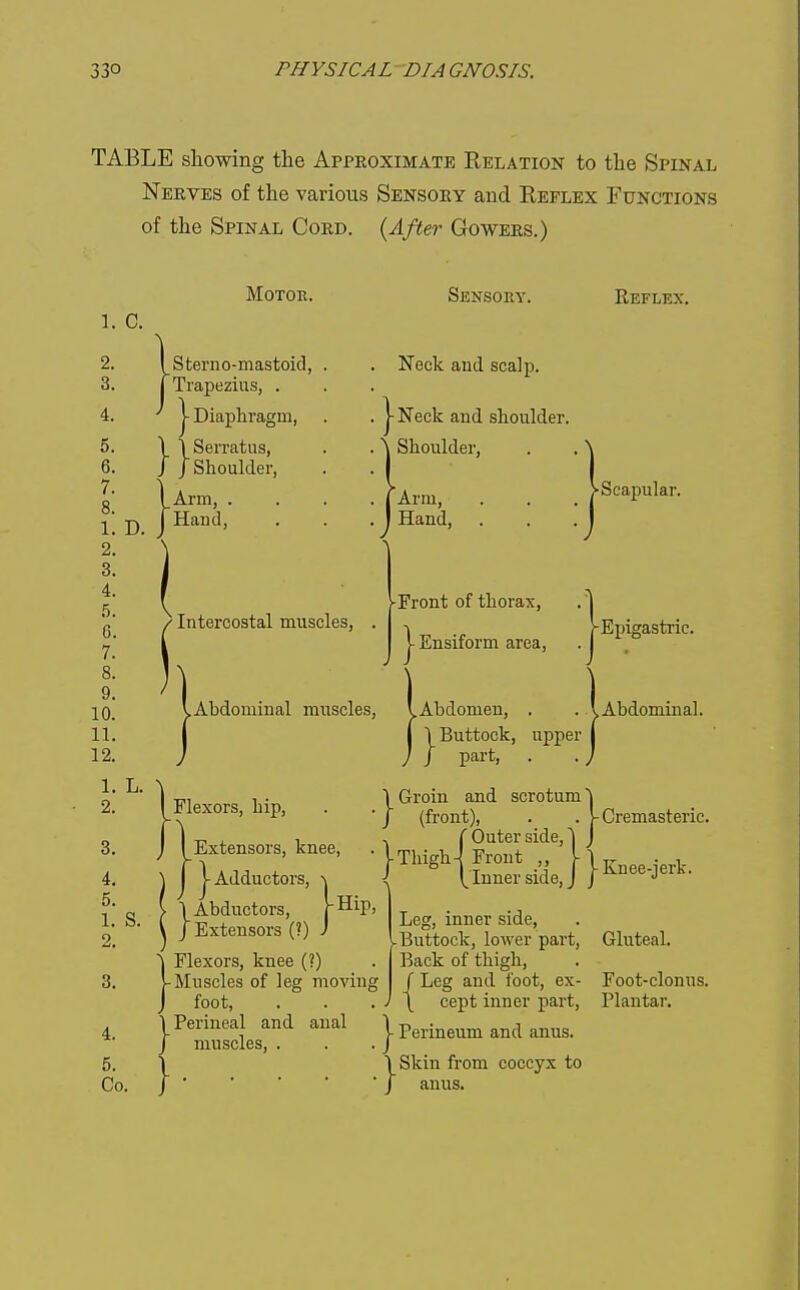 TABLE showing the Approximate Relation to the Spinal Nerves of the various Sensory and Reflex Functions of the Spinal Cord. {After Gowers.) 1. C. Motor. S tern 0-mastoid, Trapezius, . - Diaphragm, _ \Serratus, Shoulder, ,Arm, . Hand, Sensory. Neck and scalp, -Neck and shoulder. Shoulder, Arm, Hand, Reflex. •Scapular. 3. 4. 5. 1. S. o 4. 5. Co. ' Intercostal muscles, ^Abdominal muscles, I Flexors, hip, j I Extensors, knee, j j-Adductors, ►■Front of thorax, j- Ensiform area. 1 Abductors, /Extensors (?) Abdomen, . I 1 Buttock, upper J J part, . 1 Groin and scrotum' / (front), , ( Outer side,* I Thigh-] Front ,, < \^ Inner side, -Hip, Leg, inner side. Buttock, lower part. Back of thigh, / Leg and foot, ex- \ cept inner part. i Flexors, knee (?) |-Muscles of leg moving J foot, 1 Perineal and anal 1- j muscles, . . . J ' 1 I Skin from coccyx to JJ anus. -Epigastric. > Abdominal. j-Cremasteric, j- Knee-jerk. Gluteal. Foot-clonus. Plantar. Perineum and anus.