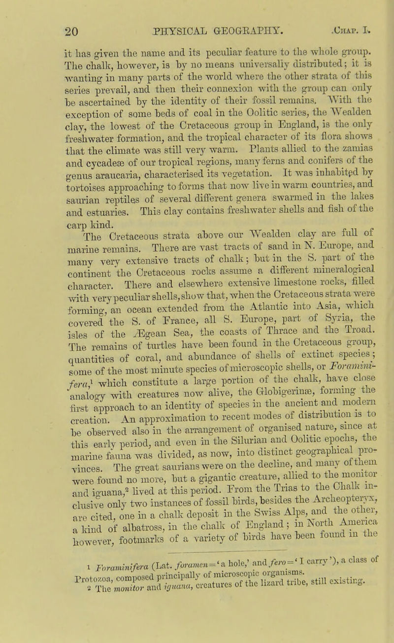 it lifis given tlie name and its peculiar featiu-e to the whole gi-oup. The chalk, however, is by no means universally distributed; it is wanting in many parts of the world where the other strata of this series prevail, and then their connexion with the group can only be ascertained by the identity of their fossil remains. AVith the exception of some beds of coal in the Oolitic series, the Wealdea clay, the lowest of the Cretaceous group in England, is the only freshwater formation, and the tropical character of its flora shows that the climate was still very warm. Plants allied to the zamias and cycadefe of our tropical regions, many ferns and conifers of the genus araiicaria, characterised its vegetation. It was inhabited by tortoises approaching to forms that now live in warm countries, and saurian reptiles of several different genera swarmed in the lakes and estuaries. This clay contains freshwater shells and fish of the carp kind. The Cretaceous strata above oiu- Wealden clay are lull ot marine remains. There are vast tracts of sand in N. Em-ope, and many very extensive tracts of chalk; but in the S. part of the continent 'the Cretaceous rocks assume a different mineralogical character. There and elsewhere extensive limestone rocks, fiUed with very peculiar shells, show that, when the Cretaceous strata were ^rniino-, an ocean extended from the Atlantic into Asia, which covered'the S. of Prance, all S. Europe, part of Syria, the isles of the iBgean Sea, the coasts of Thrace and the Troad. The remains of turtles have been found in the Cretaceous group, quantities of coral, and abimdance of shells of extinct species;, some of the most minute species of microscopic sheUs, or Foram im- fera' which constitute a large portion of the chalk, have close anal'ooT with creatures now alive, the Globigerinaj, formmg the first approach to an identity of species in the ancient and_ modem creation. An approximation to recent modes of distribution is to be observed also in the arrangement of organised nature, since at this earlv period, and even in the Siliu-ian and Oolitic epochs, the marine fauna was divided, as now, into distinct geographical pro- vinces The great saurians were on the declme, and many ot tnem were found no more, but a gigantic creature, allied to the momtor and io'uana,^ lived at this period. Erom the Trias to the ChaUv m- clu^^ive only two instances of fossil birds, besides the Archeoptep, are^cited, one m a chalk deposit in the Swiss Alps, and the other, Ikind of albatross, in the chalk of England; in North Amenca however, footmarks of a variety of birds have been found in the 1 nravunlfera (Lat7f«m,«e.='a hole,' and/ero = ' I carry'), a class of