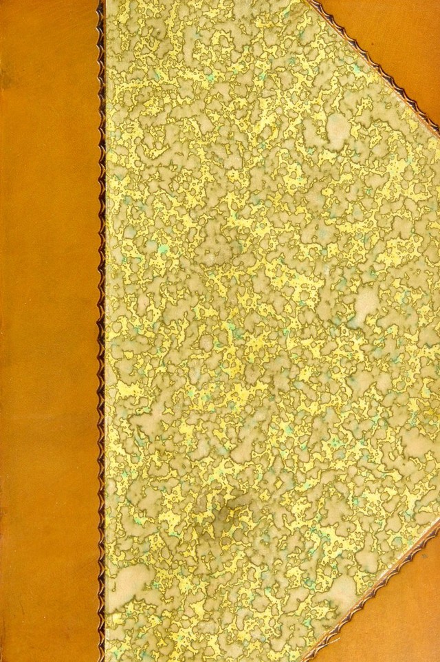 No text description is available for this image