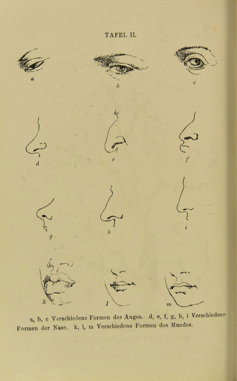 a, b, c Verschiedene Formen des Auges, d, e, f, g, h, i Yerschi Formen der Nase, k, 1, m Verschiedene Formen des Mundes.