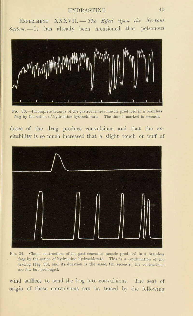 Experiment XXXVII. — The Effect upon the Nervous System. — It has already been mentioned that poisonous Fig. 33.—Incomplete tetanus of the gastrocnemius muscle produced in a brainless frog by the action of hydrastine hydrochlorate. The time is marked in seconds. doses of the drug produce convulsions, and that the ex- citability is so much increased that a slight touch or puff of Fig. 34.—Clonic contractions of the gastrocnemius muscle produced in a brainless frog by the action of hydrastine hydrochlorate. This is a continuation of the tracing (Fig. 33). and its duration is the same, ten seconds ; the contractions are few but prolonged. wind suffices to send the frog into convulsions. The seat of origin of these convulsions can be traced by the following