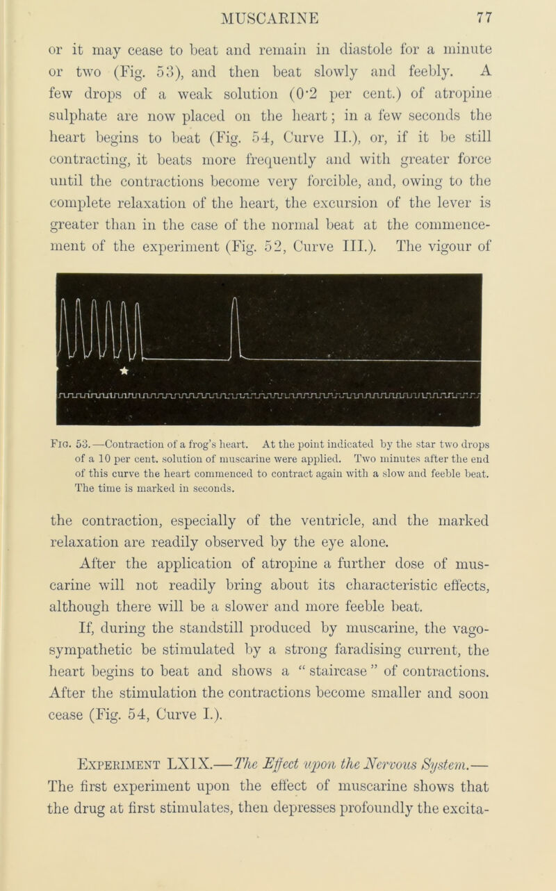 or it may cease to beat and remain in diastole for a minute or two (Fig. 53), and then beat slowly and feebly. A few drops of a weak solution (0*2 per cent.) of atropine sulphate are now placed on the heart; in a few seconds the heart begins to beat (Fig. 54, Curve II.), or, if it be still contracting, it beats more frequently and with greater force until the contractions become very forcible, and, owing to the complete relaxation of the heart, the excursion of the lever is greater than in the case of the normal beat at the commence- ment of the experiment (Fig. 52, Curve III.). The vigour of ★ jTj-uTjTj-Lmtnnnnjirb-uarJTJiJTJTJiJxnjTrij-Lr^^ Fig. 53.—-Contraction of a frog’s heart. At the point indicated by the star two drops of a 10 per cent, solution of muscarine were applied. Two minutes after the end of this curve the heart commenced to contract again with a slow and feeble beat. The time is marked in seconds. the contraction, especially of the ventricle, and the marked relaxation are readily observed by the eye alone. After the application of atropine a further dose of mus- carine will not readily bring about its characteristic effects, although there will be a slower and more feeble beat. If, during the standstill produced by muscarine, the vago- sympathetic be stimulated by a strong faradising current, the heart begins to beat and shows a “ staircase ” of contractions. After the stimulation the contractions become smaller and soon cease (Fig. 54, Curve I.). Experiment LX1X.—The Effect upon the Nervous System.— The first experiment upon the effect of muscarine shows that the drug at first stimulates, then depresses profoundly the excita-