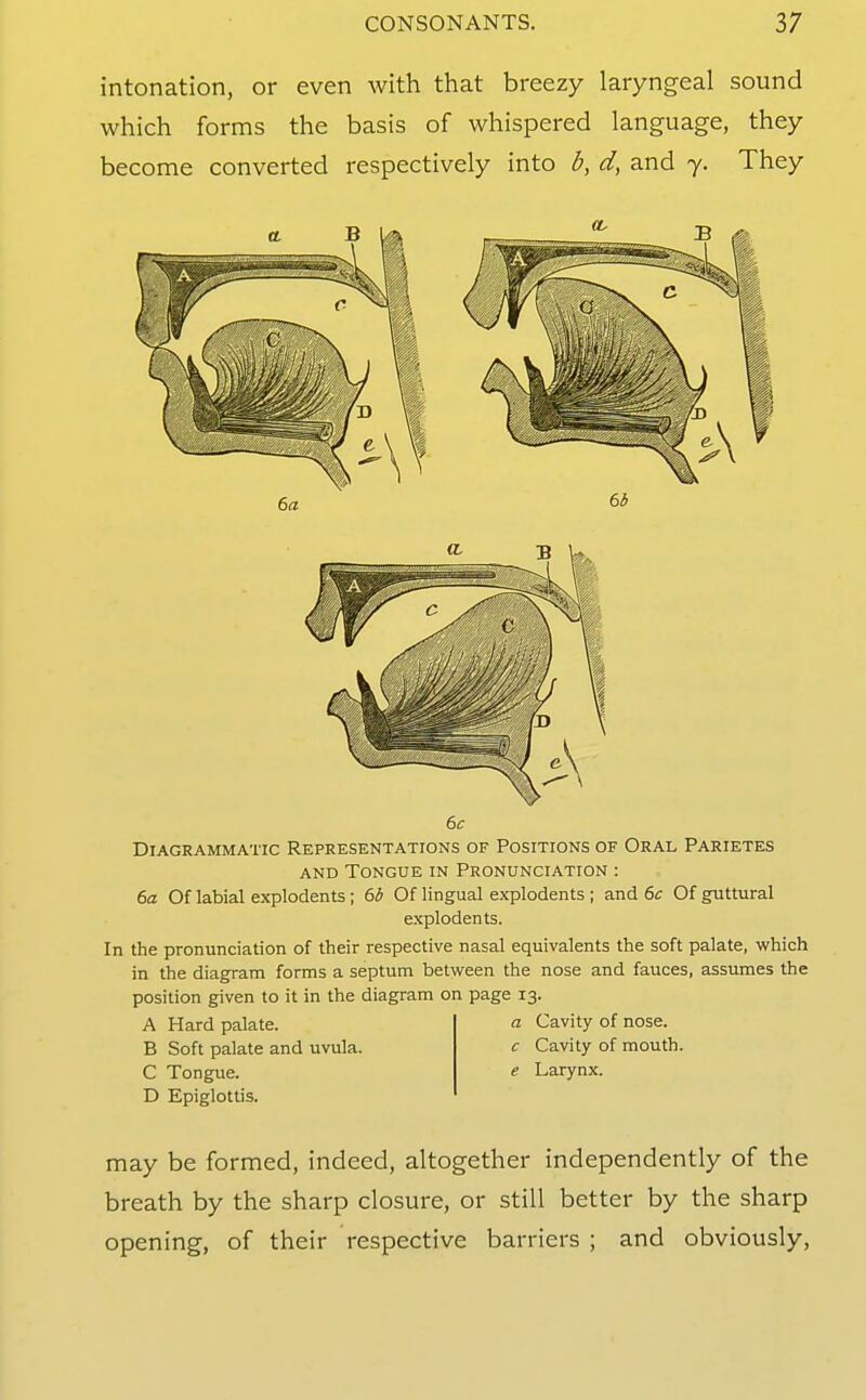 intonation, or even with that breezy laryngeal sound which forms the basis of whispered language, they become converted respectively into b, d, and 7. They 6c Diagrammatic Representations of Positions of Oral Parietes AND Tongue in Pronunciation : 6a Of labial explodents; 6b Of lingual explodents ; and 6c Of guttural explodents. In the pronunciation of their respective nasal equivalents the soft palate, which in the diagram forms a septum between the nose and fauces, assumes the position given to it in the diagram on page 13. A Hard palate. a Cavity of nose. B Soft palate and uvula. c Cavity of mouth. C Tongue. e Larynx. D Epiglottis. may be formed, indeed, altogether independently of the breath by the sharp closure, or still better by the sharp opening, of their respective barriers ; and obviously.