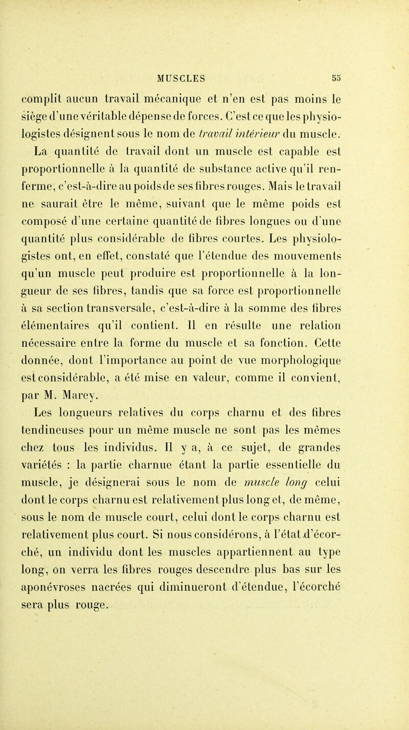 complit aucun travail mécanique et n'en est pas moins le siège d'une véritable dépense de forces. C'est ce que les physio- logistes désignent sous le nom de travail intérieur du muscle. La quantité de travail dont un muscle est capable est proportionnelle à la quantité de substance active qu'il ren- ferme, c'est-à-dire au poids de ses fibres rouges. Mais le travail ne saurait être le même, suivant que le même poids est composé d'une certaine quantité de fibres longues ou d'une quantité plus considérable de fibres courtes. Les physiolo- gistes ont, en effet, constaté que l'étendue des mouvements qu'un muscle peut produire est proportionnelle à la lon- gueur de ses fibres, tandis que sa force est proportionnelle à sa section transversale, c'est-à-dire à la somme des fibres élémentaires qu'il contient. 11 en résulte une relation nécessaire entre la forme du muscle et sa fonction. Cette donnée, dont l'importance au point de vue morphologique est considérable, a été mise en valeur, comme il convient, par M. Marey. Les longueurs relatives du corps charnu et des fibres tendineuses pour un même muscle ne sont pas les mêmes chez tous les individus. Il y a, à ce sujet, de grandes variétés : la partie charnue étant la partie essentielle du muscle, je désignerai sous le nom de muscle long celui dont le corps charnu est relativement plus long et, de même, sous le nom de muscle court, celui dont le corps charnu est relativement plus court. Si nous considérons, à l'état d'écor- ché, un individu dont les muscles appartiennent au type long, on verra les fibres rouges descendre plus bas sur les aponévroses nacrées qui diminueront d'étendue, l'écorché sera plus rouge.