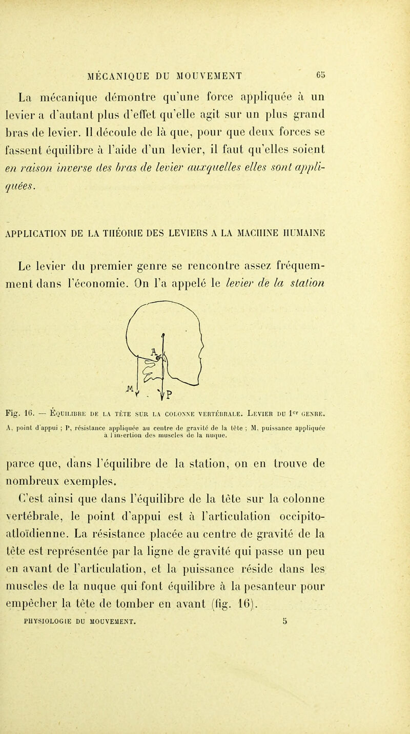 La mécanique démontre qu'une force appliquée à un levier a d'autant plus d'effet qu'elle agit sur un plus grand bras de levier. Il découle de là que, pour que deux forces se fassent équilibre à l'aide d'un levier, il faut qu'elles soient en raison inverse des bras de levier auxquelles elles son t appli- quées. APPLICATION DE LA THÉORIE DES LEVIERS A LA MACHINE HUMAINE Le levier du premier genre se rencontre assez fréquem- ment dans l'économie. On l'a appelé le levier de la station Fig. 10. — Équilibre de la tète sur la colonne vertébrale. Levier du 1er genre. A, point d'appui ; 1', résistance appliquée au centre de gravité de la tète ; M, puissance appliquée à 1 in.-ertion des muscles de la nuque. parce que, dans l'équilibre de la station, on en trouve de nombreux exemples. C'est ainsi que dans l'équilibre de la tète sur la colonne vertébrale, le point d'appui est à l'articulation occipito- atloïdienne. La résistance placée au centre de gravité de la tète est représentée par la ligne de gravité qui passe un peu en avant de l'articulation, et la puissance réside dans les muscles de la nuque qui font équilibre à La pesanteur pour empêcher ta tète de tomber en avant (fig. 16).