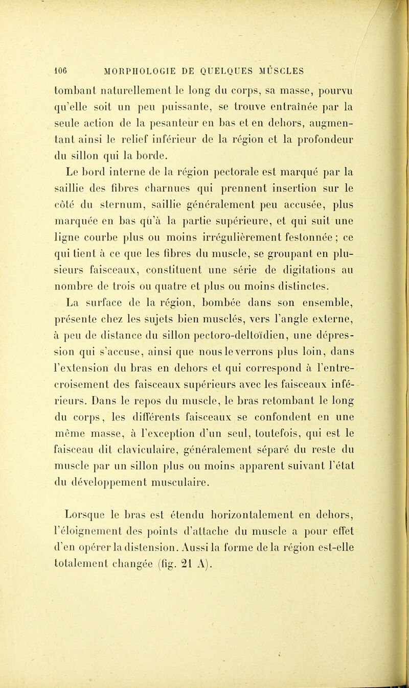 tombant naturellement le long du corps, sa masse, pourvu qu'elle soit un peu puissante, se trouve entraînée par la seule action de la pesanteur en bas et en dehors, augmen- tant ainsi le relief inférieur de la région et la profondeur du sillon qui la borde. Le bord interne de la région pectorale est marqué par la saillie des fibres charnues qui prennent insertion sur le côté du sternum, saillie généralement peu accusée, plus marquée en bas qu'à la partie supérieure, et qui suit une ligne courbe plus ou moins irrégulièrement festonnée ; ce qui tient à ce que les fibres du muscle, se groupant en plu- sieurs faisceaux, constituent une série de digitations au nombre de trois ou quatre et plus ou moins distinctes. La surface de la région, bombée dans son ensemble, présente chez les sujets bien musclés, vers l'angle externe, à peu de distance du sillon pectoro-deltoïdicn, une dépres- sion qui s'accuse, ainsi que nous le verrons plus loin, dans l'extension du bras en dehors et qui correspond à l'entre- croisement des faisceaux supérieurs avec les faisceaux infé- rieurs. Dans le repos du muscle, le bras retombant le long du corps, les différents faisceaux se confondent en une même masse, à l'exception d'un seul, toutefois, qui est le faisceau dit claviculaire, généralement séparé du reste du muscle par un sillon plus ou moins apparent suivant l'état du développement musculaire. Lorsque le bras est étendu horizontalement en dehors, l'éloignement des points d'attache du muscle a pour effet d'en opérer la distension. Aussi la forme delà région est-elle totalement changée (fîg. 21 A).