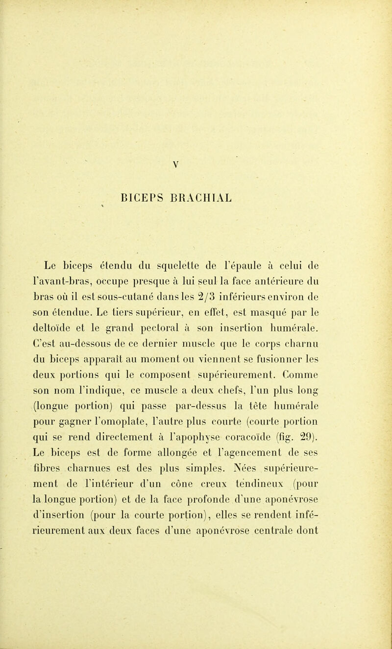 BICEPS BRACHIAL Le biceps étendu du squelette de l'épaule à celui de F avant-bras, occupe presque à lui seul la face antérieure du bras où il est sous-cutané dans les 2/3 inférieurs environ de son étendue. Le tiers supérieur, en effet, est masqué par le deltoïde et le grand pectoral à son insertion humérale. C'est au-dessous de ce dernier muscle que le corps charnu du biceps apparaît au moment ou viennent se fusionner les deux portions qui le composent supérieurement. Comme son nom l'indique, ce muscle a deux chefs, l'un plus long (longue portion) qui passe par-dessus la tête humérale pour gagner l'omoplate, l'autre plus courte (courte portion qui se rend directement à l'apophyse coracoïde (fig. 29). Le biceps est de forme allongée et l'agencement de ses fibres charnues est des plus simples. Nées supérieure- ment de l'intérieur d'un cône creux tendineux (pour la longue portion) et de la face profonde d'une aponévrose d'insertion (pour la courte portion), elles se rendent infé- rieurement aux deux faces d'une aponévrose centrale dont