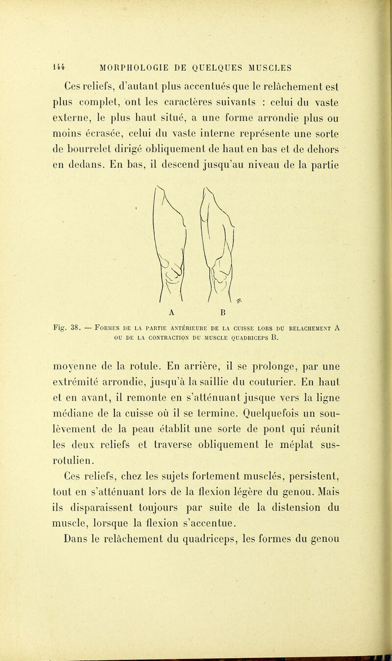 Ces reliefs, d'autant plus accentués que le relâchement est plus complet, ont les caractères suivants : celui du vaste externe, le plus haut situé, a une forme arrondie plus ou moins écrasée, celui du vaste interne représente une sorte de bourrelet dirigé obliquement de haut en bas et de dehors en dedans. En bas, il descend jusqu'au niveau de la partie moyenne de la rotule. En arrière, il se prolonge, par une extrémité arrondie, jusqu'à la saillie du couturier. En haut et en avant, il remonte en s'atténuant jusque vers la ligne médiane de la cuisse où il se termine. Quelquefois un sou- lèvement de la peau établit une sorte de pont qui réunit les deux reliefs et traverse obliquement le méplat sus- rotulien. Ces reliefs, chez les sujets fortement musclés, persistent, tout en s'atténuant lors de la flexion légère du genou. Mais ils disparaissent toujours par suite de la distension du muscle, lorsque la flexion s'accentue. Dans le relâchement du quadriceps, les formes du genou A B Fig. 38. — Formes de la partie antérieure de la cuisse lors du relâchement A ou de la contraction du muscle quadriceps B.