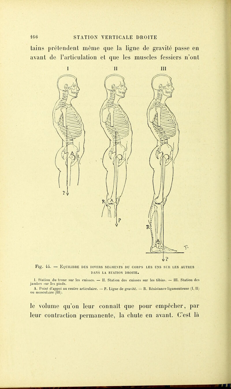 tains prétendent même que la ligne de gravité passe en avant de l'articulation et que les muscles fessiers n'ont I II m Fig. 44. — EQUILIBRE DES DIVERS SEGMENTS DU CORPS LES UKS SUR LES AUTRES DANS LA STATION DROITE. 1. Slalion du tronc sur les cuisses. — II. Station des cuisses sur les tibias. — III. Station des jambes ^ur les pieds. A. Point d'appui au centre articulaire. — P. Ligne de gravité. — R. Résistance ligamenteuse (I, II) ou musculaire (111). le volume qu'où leur connaît que pour empêcher, par leur contraction permanente, la chute en avant. C'est là