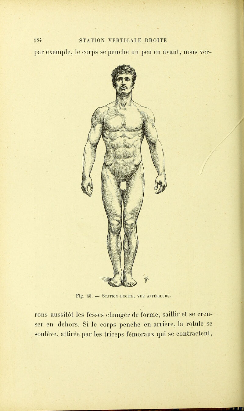 par exemple, le corps se penche un peu en avant, nous ver- rons aussitôt les fesses changer de forme, saillir et se creu- ser en dehors. Si le corps penche en arrière, la rotule se soulève, attirée par les triceps fémoraux qui se contractent,