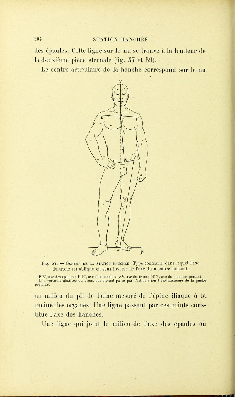 des épaules. Cette ligne sur le nu se trouve à la hauteur de la deuxième pièce sternale (fig. 57 et 59). Le centre articulaire de la hanche correspond sur le nu Fig. 57. — Schéma de la station hanchée. Type contrarie dans lequel l'axe du tronc est oblique en sens inverse de l'axe du membre portant. E E', axe des épaules ; H H', axe des hanches; e A, axe du Ironc; H' V, axe du membre portant. Une \erlicale abaissée du creux sus-sternal passe par l'articulai ion tibio-tarsienne de la jambe portante. au milieu du pli de Faine mesuré de l'épine iliaque à la racine des organes. Une ligne passant par ces points cons- titue Taxe des hanches. Une ligne qui joint le milieu de Taxe des épaules au