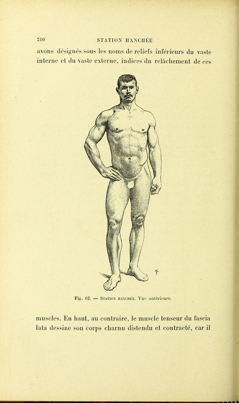 avons désignés sous les noms de reliefs inférieurs du vaste interne et du vaste externe, indices du relâchement de ces Fig. 62. — Station iianchée. Vue antérieure. muscles. En haut, au contraire, le muscle tenseur du fascia lata dessine son corps charnu distendu et contracté, car il