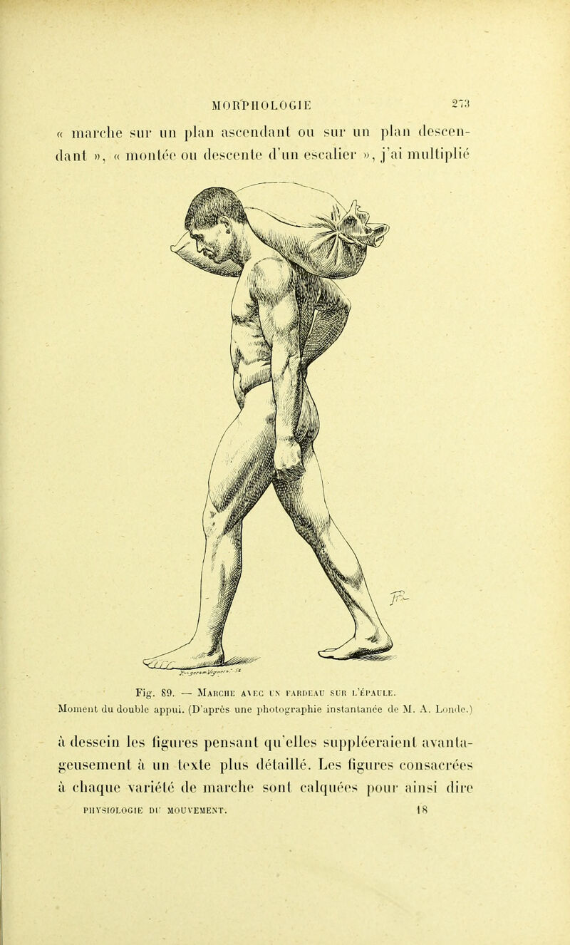 « marche sur un plan ascendant ou sur un plan descen- dant », « montée ou descente d'un escalier », j'ai multiplié Fig. 89. — Marche A^EC un fardeau sur l'épaule. Moment du double appui. (D'après une photographie instantanée de M. A. Lonçlo.) à dessein les ligures pensant qu elles suppléeraient avanta- geusement à un texte plus détaillé. Les figures consacrées à chaque variété de marche sont calquées pour ainsi dire PHYSIOLOGIE Di: MOUVEMENT. 18