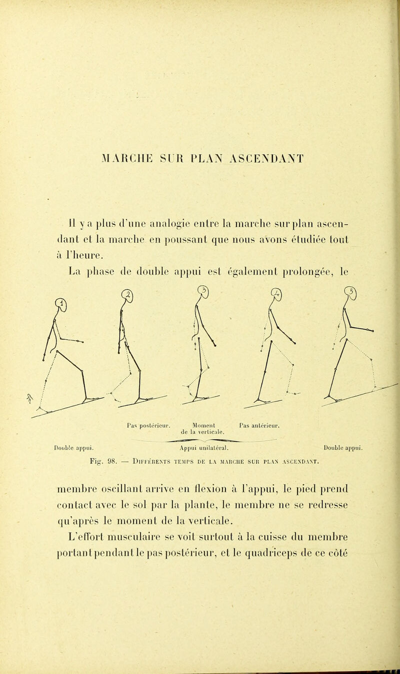 11 y a plus d'une analogie entre la marche sur plan ascen- dant et la marche en poussant que nous avons étudiée tout à l'heure. La phase de double appui est également prolongée, le Pas postérieur. Moment Pas antérieur, de la verticale. Double appui. Appui unilatéral. Double appui. Fig. 98. — Différents temps de la marche sur plan ascendant. membre oscillant arrive en flexion à l'appui, le pied prend contact avec le sol par la plante, le membre ne se redresse qu'après le moment de la verticale. L'effort musculaire se voit surtout à la cuisse du membre portant pendant le pas postérieur, et le quadriceps de ce côté