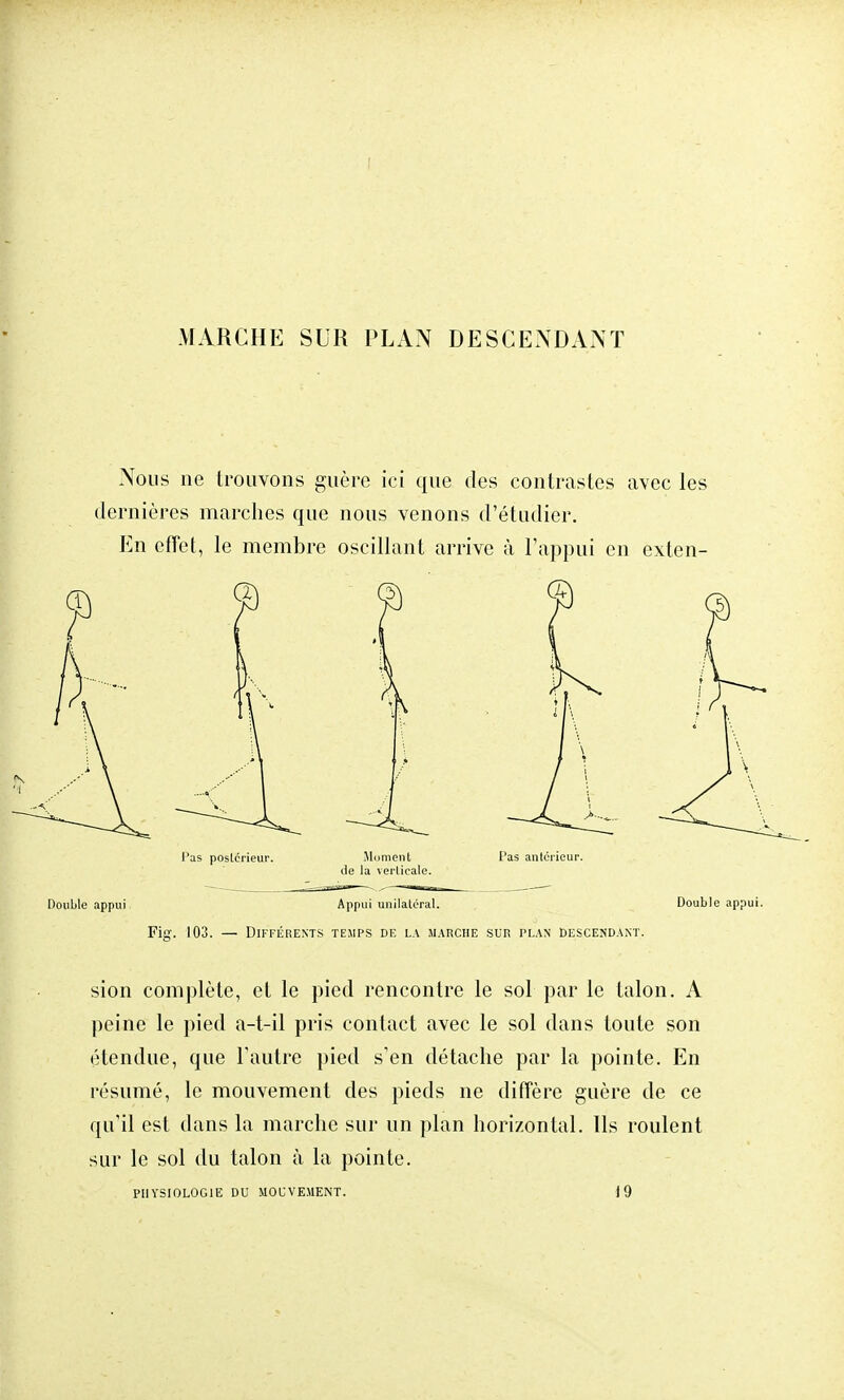 Nous ne trouvons guère ici que des contrastes avec les dernières marches que nous venons d'étudier. En effet, le membre oscillant arrive à l'appui en exten- Doublc appui. Appui unilatéral. Double appui. Fig. 103. — Différents temps de la marche sur plan descendant. sion complète, et le pied rencontre le sol par le talon. A peine le pied a-t-il pris contact avec le sol dans toute son étendue, que l'autre pied s'en détache par la pointe. En résumé, le mouvement des pieds ne diffère guère de ce qu'il est dans la marche sur un plan horizontal. Us roulent sur le sol du talon à la pointe. PHYSIOLOGIE DU MOUVEMENT. J9