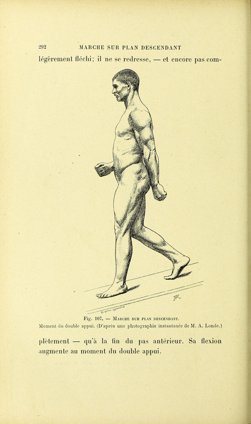 légèrement fléchi; il ne se redresse, — et encore pas com- Fig. 107. — Marche sur plan descendant. Moment du double appui. (D'après une photographie instantanée de M. A. Londe.) plètement — qu'à la fin du pas antérieur. Sa flexion augmente au moment du double appui.