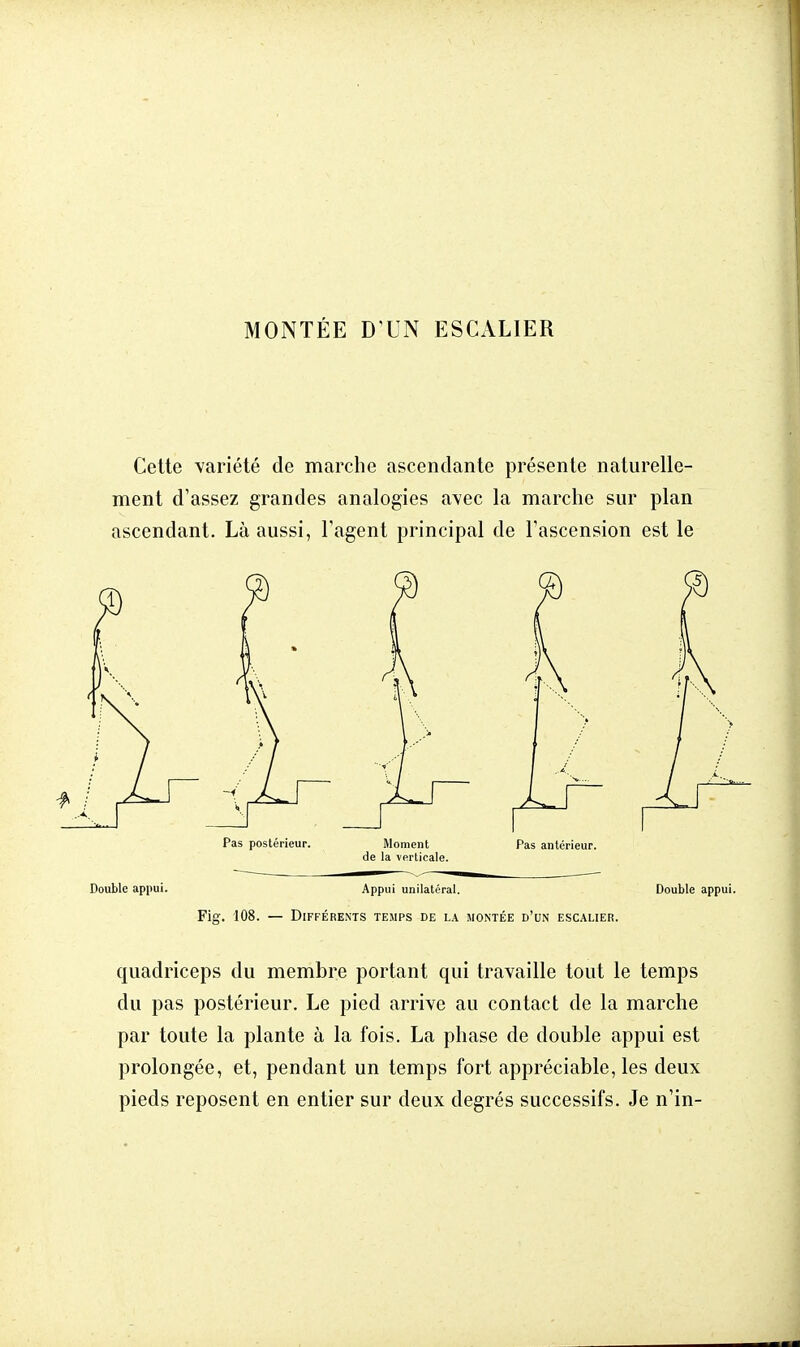 MONTÉE D'UN ESCALIER Cette variété de marche ascendante présente naturelle- ment d'assez grandes analogies avec la marche sur plan ascendant. Là aussi, l'agent principal de l'ascension est le Pas postérieur. Moment Pas antérieur, de la verticale. Double appui. Appui unilatéral. Double ; Fig. 108. — Différents temps de la montée d'un escalier. quadriceps du membre portant qui travaille tout le temps du pas postérieur. Le pied arrive au contact de la marche par toute la plante à la fois. La phase de double appui est prolongée, et, pendant un temps fort appréciable, les deux pieds reposent en entier sur deux degrés successifs. Je n'in-