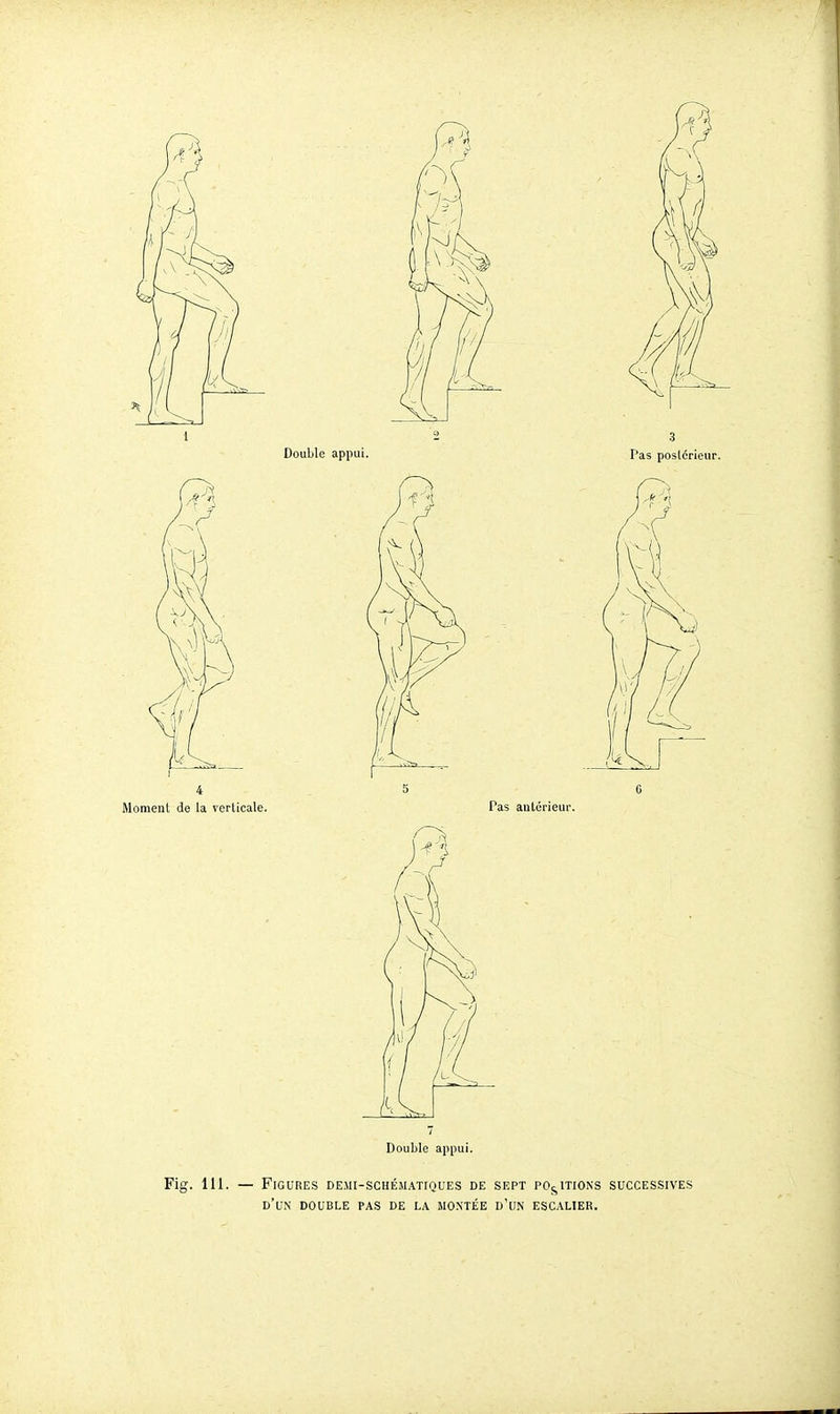 Fig. 111. — Figures demi-schématiques de sept positions successives d'un double pas de la montée d'un escalier.