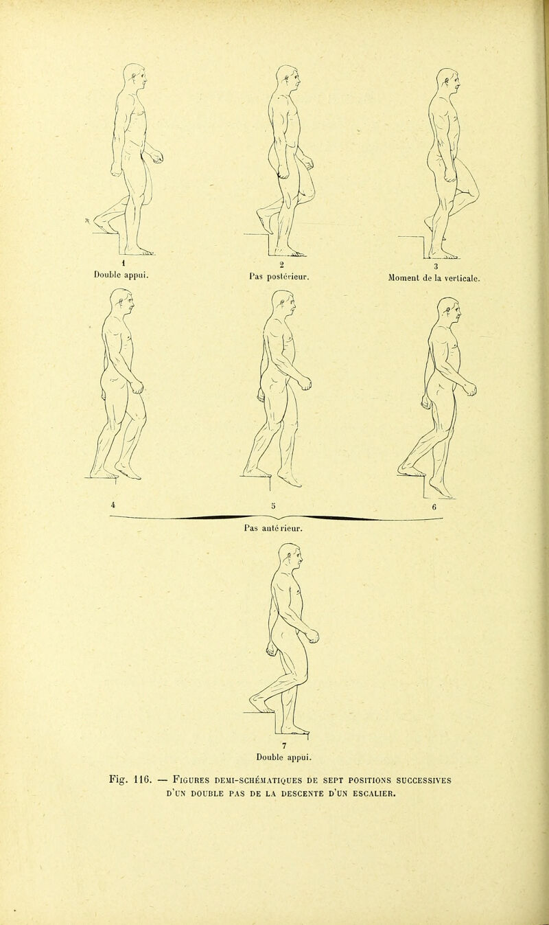 Fig. 116. — Figures demi-schématiques de sept positions successives d'un double pas de la descente d'un escalier.