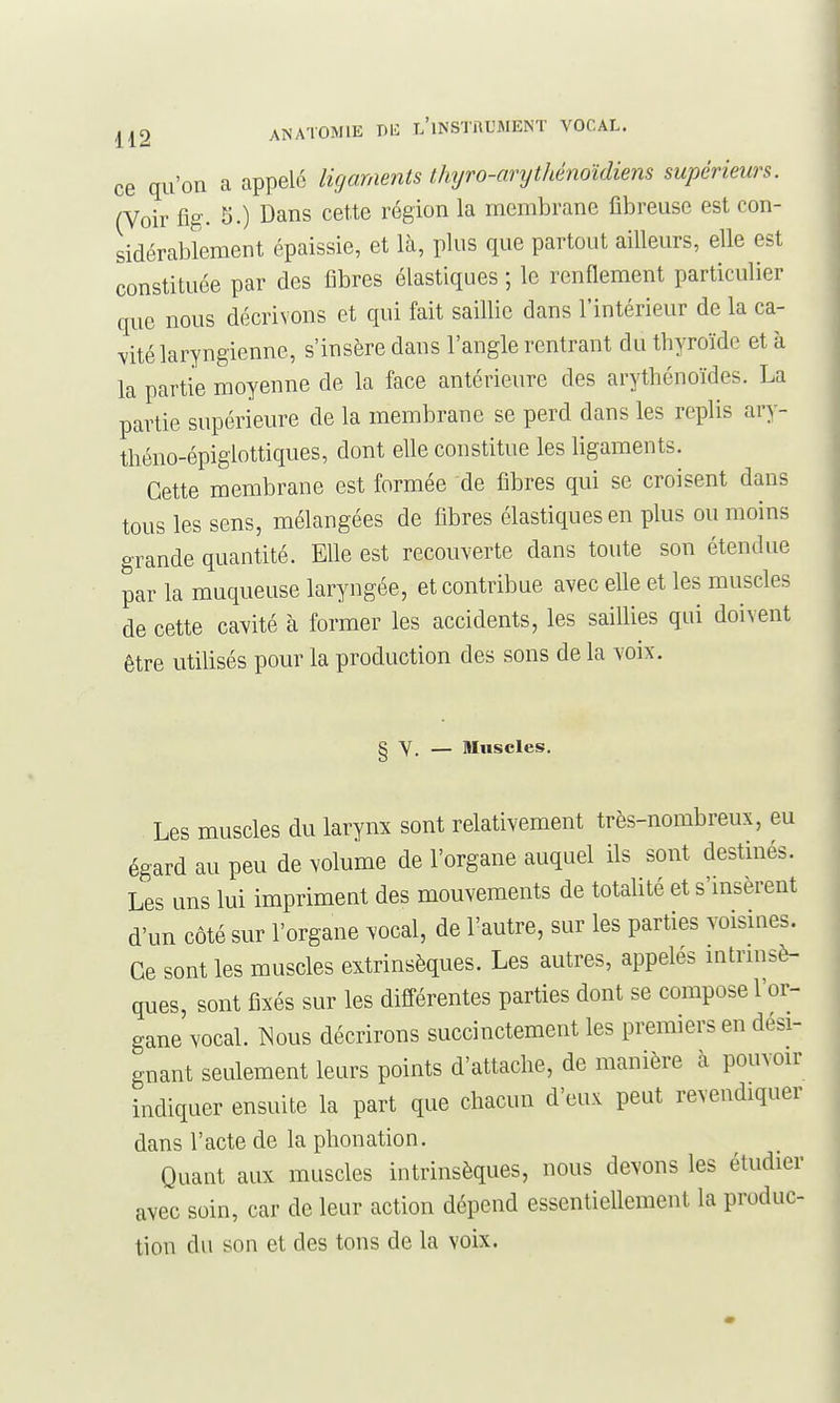 ce qu'on a appelé ligaments thijro-arythénoidiem supérieurs. (Voir %. S.) Dans cette région la membrane fibreuse est con- sidérablement épaissie, et là, plus que partout ailleurs, elle est constituée par des fibres élastiques ; le renflement particulier que nous décrivons et qui fait saillie dans l'intérieur de la ca- vité laryngienne, s'insère dans l'angle rentrant du thyroïde et à la partie moyenne de la face antérieure des arytliénoïdes. La partie supérieure de la membrane se perd dans les replis ary- théno-épiglottiques, dont elle constitue les ligaments. Cette membrane est formée de fibres qui se croisent dans tous les sens, mélangées de fibres élastiques en plus ou moins grande quantité. Elle est recouverte dans toute son étendue par la muqueuse laryngée, et contribue avec elle et les muscles de cette cavité à former les accidents, les saillies qui doivent être utilisés pour la production des sons de la voix. § V. — Muscles. Les muscles du larynx sont relativement très-nombreux, eu égard au peu de volume de l'organe auquel ils sont destinés. Les uns lui impriment des mouvements de totalité et s'insèrent d'un côté sur l'organe vocal, de l'autre, sur les parties voismes. Ce sont les muscles extrinsèques. Les autres, appelés mtrmsè- ques, sont fixés sur les différentes parties dont se compose l'or- gane vocal. Nous décrirons succinctement les premiers en dési- gnant seulement leurs points d'attache, de manière à pouvoir indiquer ensuite la part que chacun d'eux peut revendiquer dans l'acte de la phonation. Quant aux muscles intrinsèques, nous devons les étudier avec soin, car de leur action dépend essentiellement la produc- tion du son et des tons de la voix.