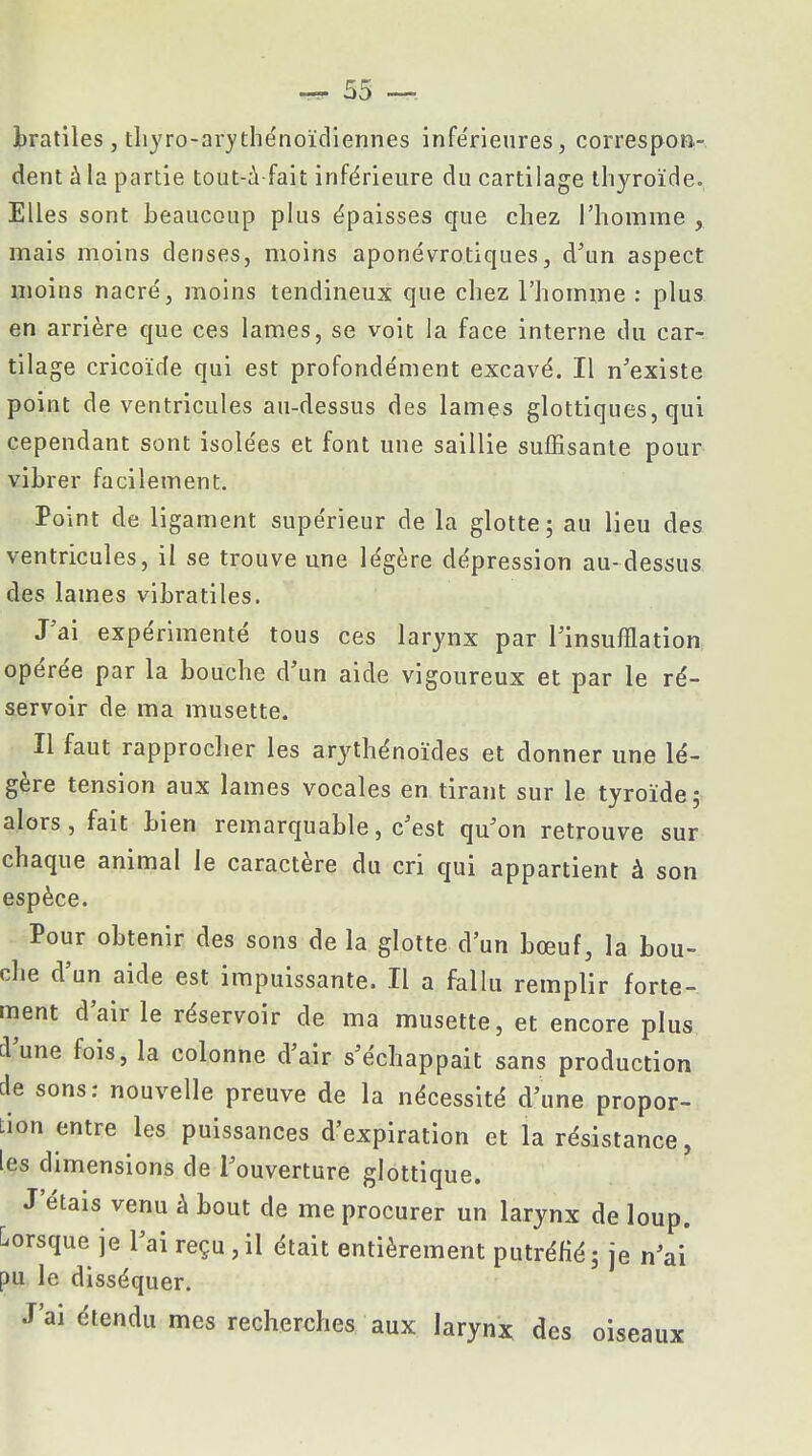 bratiles, thyro-arythénoïdiennes inférieures, correspon- dent à la partie tout-à-fait inférieure du cartilage thyroïde. Elles sont beaucoup plus épaisses que chez l'homme x mais moins denses, moins aponévrotiques, d'un aspect moins nacré, moins tendineux que chez l'homme : plus en arrière que ces lames, se voit la face interne du carr tilage cricoïde qui est profondément excavé. Il n'existe point de ventricules au-dessus des lames glottiques, qui cependant sont isolées et font une saillie suffisante pour vibrer facilement. Point de ligament supérieur de la glotte; au lieu des ventricules, il se trouve une légère dépression au-dessus des lames vibratiles. J'ai expérimenté tous ces larynx par l'insufflation opérée par la bouche d'un aide vigoureux et par le ré- servoir de ma musette. Il faut rapprocher les arythénoïdes et donner une lé- gère tension aux lames vocales en tirant sur le tyroïde; alors, fait bien remarquable, c'est qu'on retrouve sur chaque animal le caractère du cri qui appartient à son espèce. Pour obtenir des sons delà glotte d'un bœuf, la bou- che d'un aide est impuissante. Il a fallu remplir forte- ment d'air le réservoir de ma musette, et encore plus d'une fois, la colonne d'air s'échappait sans production de sons: nouvelle preuve de la nécessité d'une propor- tion entre les puissances d'expiration et la résistance, les dimensions de l'ouverture glottique. J'étais venu à bout de me procurer un larynx de loup. Lorsque je l'ai reçu , il était entièrement putréfié ; je n'ai pu le disséquer. J'ai étendu mes recherches aux larynx des oiseaux