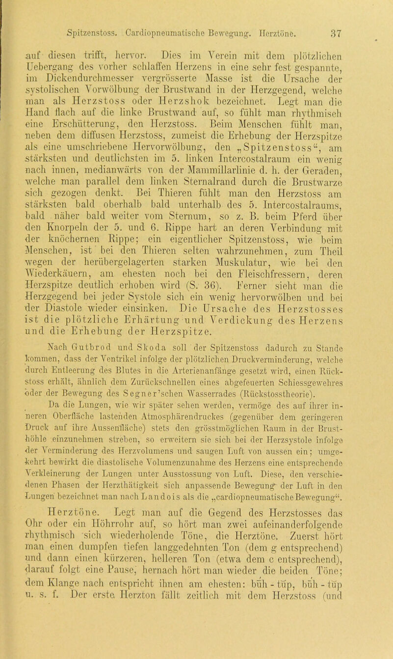 auf diesen trifft, hervor. Dies im Verein mit dem plötzlichen Uebergang des vorher schlaffen Herzens in eine sehr fest gespannte, im Dickendurchmesser vergrösserte Masse ist die Ursache der systolischen Vorwölbung der Brustwand in der Herzgegend, welche man als Herzstoss oder Herzshok bezeichnet. Legt man die Hand flach auf die linke Brustwand auf, so fühlt man rhythmisch eine Erschütterung, den Herzstoss. Beim Menschen fühlt man, neben dem diffusen Herzstoss, zumeist die Erhebung der Herzspitze als eine umschriebene Hervorwölbung, den „Spitzenstoss“, am stärksten und deutlichsten im 5. linken Intercostalraum ein wenig nach innen, medianwärts von der Mammillarlinie d. h. der Geraden, welche man parallel dem linken Sternalrand durch die Brustwarze sich gezogen denkt. Bei Thieren fühlt man den Herzstoss am stärksten bald oberhalb bald unterhalb des 5. Intercostalraums, bald näher bald weiter vom Sternum, so z. B. beim Pferd über den Knorpeln der 5. und 6. Rippe hart an deren Verbindung mit der knöchernen Rippe; ein eigentlicher Spitzenstoss, wie beim Menschen, ist bei den Thieren selten wahrzunehmen, zum Theil wegen der herübergelagerten starken Muskulatur, wie bei den Wiederkäuern, am ehesten noch bei den Fleischfressern, deren Herzspitze deutlich erhoben wird (S. 36). Ferner sieht man die Herzgegend bei jeder Systole sich ein wenig hervorwölben und bei der Diastole wieder einsinken. Die Ursache des Herzstosses ist die plötzliche Erhärtung und Verdickung des Herzens und die Erhebung der Herzspitze. Fach Gutbrod und Skoda soll der Spitzenstoss dadurch zustande kommen, dass der Ventrikel infolge der plötzlichen Druckverminderung, welche durch Entleerung des Blutes in die Arterienanfänge gesetzt wird, einen Rück- stoss erhält, ähnlich dem Zurückschnellen eines abgefeuerten Schiessgewehres öder der Bewegung des Segner’schen Wasserrades (Riickstosstheorie). Da die Lungen, wie wir später sehen werden, vermöge des auf ihrer in- neren Oberfläche lastenden Atmosphärendruckes (gegenüber dem geringeren Druck auf ihre Aussenfläche) stets den grösstmöglichen Raum in der Brust- höhle einzunelimen streben, so erweitern sie sich bei der Ilerzsystole infolge der Verminderung des Herzvolumens und saugen Luft von aussen ein; umge- kehrt bewirkt die diastolische Volumenzunahme des Herzens eine entsprechende Verkleinerung der Lungen unter Ausstossung von Luft. Diese, den verschie- denen Phasen der Iferzthätigkeit sich anpassende Bewegung- der Luft in den Lungen bezeichnet man nach Landois als die „cardiopneumatischeBewegung“. Herztöne. Legt man auf die Gegend des Herzstosses das Ohr oder ein ITöhrrohr auf, so hört man zwei aufeinanderfolgende rhythmisch sich wiederholende Töne, die Herztöne. Zuerst hört man einen dumpfen tiefen langgedehnten Ton (dem g entsprechend) und dann einen kürzeren, helleren Ton (etwa dem c entsprechend), darauf folgt eine Pause, hernach hört man wieder die beiden Töne; dem Klange nach entspricht ihnen am ehesten: büh - tup, büh-tüp u. s. f. Der erste Herzton fällt zeitlich mit dem Herzstoss (und