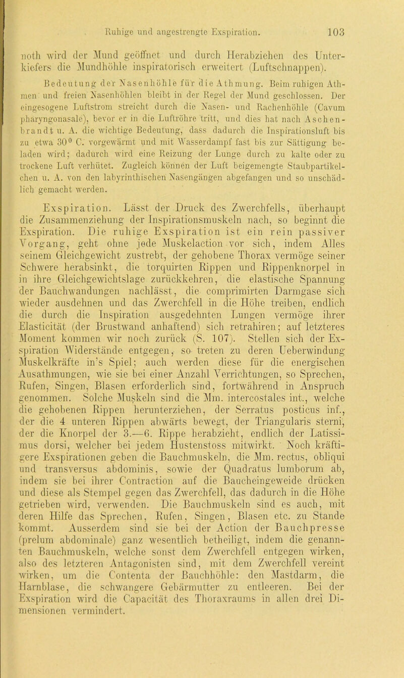 noth wird der Mund geöffnet und durch Herabziehen des Unter- kiefers die Mundhöhle inspiratorisch erweitert (Luftschnappen). Bedeutung der Nasenhöhle für die Athmung. Beim ruhigen Ath- men und freien Nasenhöhlen bleibt in der Regel der Mund geschlossen. Der eingesogene Luftstrom streicht durch die Nasen- und Rachenhöhle (Cavum pharyngonasale), bevor er in die Luftröhre tritt, und dies hat nach Aschen- brandt u. A. die wichtige Bedeutung, dass dadurch die Inspirationsluft bis zu etwa 30° C. vorgewärmt und mit Wasserdampf fast bis zur Sättigung be- laden wird; dadurch wird eine Reizung der Lunge durch zu kalte oder zu trockene Luft verhütet. Zugleich können der Luft beigemengte Staubpartikel- chen u. A. von den labyrinthischen Nasengängen abgefangen und so unschäd- lich gemacht werden. Exspiration. Lässt der Druck des Zwerchfells, überhaupt die Zusammenziehung der Inspirationsmuskeln nach, so beginnt die Exspiration. Die ruhige Exspiration ist ein rein passiver Vorgang, geht ohne jede Muskelaction vor sich, indem Alles seinem Gleichgewicht zustrebt, der gehobene Thorax vermöge seiner Schwere herabsinkt, die torejuirten Rippen und Rippenknorpel in in ihre Gleichgewichtslage zurückkehren, die elastische Spannung der Bauchwandungen nachlässt, die comprimirten Darmgase sich wieder ausdehnen und das Zwerchfell in die Höhe treiben, endlich die durch die Inspiration ausgedehnten Lungen vermöge ihrer Elasticität (der Brustwand anhaftend) sich retrahiren; auf letzteres Moment kommen wir noch zurück (S. 107). Stellen sich der Ex- spiration Widerstände entgegen, so treten zu deren Ueberwindung Muskelkräfte in’s Spiel; auch werden diese für die energischen Ausathmungen, wie sie bei einer Anzahl Verrichtungen, so Sprechen, Rufen, Singen, Blasen erforderlich sind, fortwährend in Anspruch genommen. Solche Muskeln sind die Mm. intercostales int., welche die gehobenen Rippen herunterziehen, der Serratus posticus inf., der die 4 unteren Rippen abwärts bewegt, der Triangularis sterni, der die Knorpel der 3.-6. Rippe herabzieht, endlich der Latissi- mus dorsi, welcher bei jedem Hustenstoss mitwirkt. Noch kräfti- gere Exspirationen geben die Bauchmuskeln, die Mm. rectus, obliqui und transversus abdominis, sowie der Quadratus lumborum ab, indem sie bei ihrer Contraction auf die Baucheingeweide drücken und diese als Stempel gegen das Zwerchfell, das dadurch in die Höhe getrieben wird, verwenden. Die Bauchmuskeln sind es auch, mit deren Hilfe das Sprechen, Rufen, Singen, Blasen etc. zu Stande kommt. Ausserdem sind sie bei der Action der Bauchpresse (prelum abdominale) ganz wesentlich betheiligt, indem die genann- ten Bauchmuskeln, welche sonst dem Zwerchfell entgegen wirken, also des letzteren Antagonisten sind, mit dem Zwerchfell vereint wirken, um die C'ontenta der Bauchhöhle: den Mastdarm, die Harnblase, die schwangere Gebärmutter zu entleeren. Bei der Exspiration wird die Capacität des Thoraxraums in allen drei Di- mensionen vermindert.