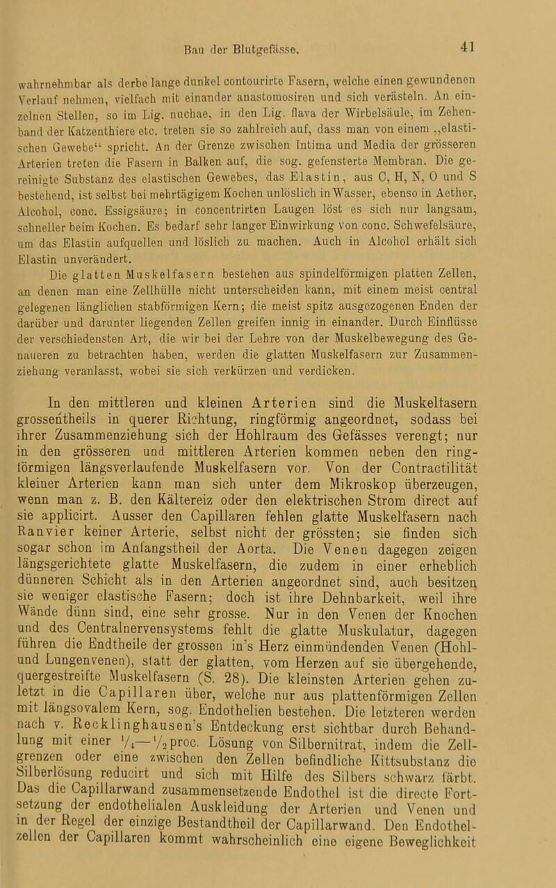 Bau rlor Blutgofässo. wahrnehmbar als derbe lange dunkel contourirte Fasern, welche einen gewundenen Verlauf nehmen, vielfach mit einander anastomosiren und sich verästeln. An ein- zelnen Stellen, so im Lig. nuchae, in den Lig. flava der Wirbelsäule, im Zehen- band der Katzenthiere etc. treten sie so zahlreich auf, dass man von einem „elasti- schen Gewebe“ spricht. An der Grenze zwischen Intima und Media der grösseren Arterien treten die Fasern in Balken auf, die sog. gefensterte Membran. Die ge- reinigte Substanz des elastischen Gewebes, das Elastin, aus C, H, N, 0 und S bestehend, ist selbst bei mehrtägigem Kochen unlöslich in Wasser, ebenso in Aether, Alcohol, conc. Essigsäure; in concentrirten Laugen löst es sich nur langsam, schneller beim Kochen. Es bedarf sehr langer Einwirkung von conc. Schwefelsäure, um das Elastin aufquellen und löslich zu machen. Auch in Alcohol erhält sich Elastin unverändert. Die glatten Muskelfasern bestehen aus spindelförmigen platten Zellen, an denen man eine Zellhülle nicht unterscheiden kann, mit einem meist central gelegenen länglichen stabförmigen Kern; die meist spitz ausgezogenen Enden der darüber und darunter liegenden Zellen greifen innig in einander. Durch Einflüsse der verschiedensten Art, die wir bei der Lehre von der Muskelbewegung des Ge- naueren zu betrachten haben, werden die glatten Muskelfasern zur Zusammen- ziehung veranlasst, wobei sie sich verkürzen und verdicken. In den mittleren und kleinen Arterien sind die Muskeltasern grossentheils in querer Richtung, ringförmig angeordnet, sodass bei ihrer Zusammenziehung sich der Hohlraum des Gefässes verengt; nur in den grösseren und mittleren Arterien kommen neben den ring- förmigen längsverlaufende Muskelfasern vor. Von der Contractilität kleiner Arterien kann man sich unter dem Mikroskop überzeugen, wenn man z. B. den Kältereiz oder den elektrischen Strom direct auf sie applicirt. Ausser den Capillaren fehlen glatte Muskelfasern nach Ranvier keiner Arterie, selbst nicht der grössten; sie finden sich sogar schon im Anfangstheil der Aorta. Die Venen dagegen zeigen längsgerichtete glatte Muskelfasern, die zudem in einer erheblich dünneren Schicht als in den Arterien angeordnet sind, auch besitzen sie weniger elastische Fasern; doch ist ihre Dehnbarkeit, weil ihre Wände dünn sind, eine sehr grosse. Hur in den Venen der Knochen und des Centralnervensystems fehlt die glatte Muskulatur, dagegen führen die Endtheile der grossen in’s Herz einmündenden Venen (Hohl- und Lungenvenen), statt der glatten, vom Herzen auf sic übergehende, quergestreifte Muskelfasern (S. 28). Die kleinsten Arterien gehen zu- letzt in die Capillaren über, welche nur aus plattenförmigen Zellen mit längsovalem Kern, sog. Endothelien bestehen. Die letzteren werden nach v. Recklinghausen’s Entdeckung erst sichtbar durch Behand- lung mit einer ‘/4 '/2proc. Lösung von Silbernitrat, indem die Zell- grenzen oder eine zwischen den Zellen befindliche Kittsubslanz die Silberlösung reducirt und sich mit Hilfe des Silbers schwarz färbt. Das die Capillarwand zusammensetzende Endothel ist die directe Fort- setzung der endothelialen Auskleidung der Arterien und Venen und in der Regel der einzige Bestandteil der Capillarwand. Den Endothel- zellen der Capillaren kommt wahrscheinlich eine eigene Beweglichkeit