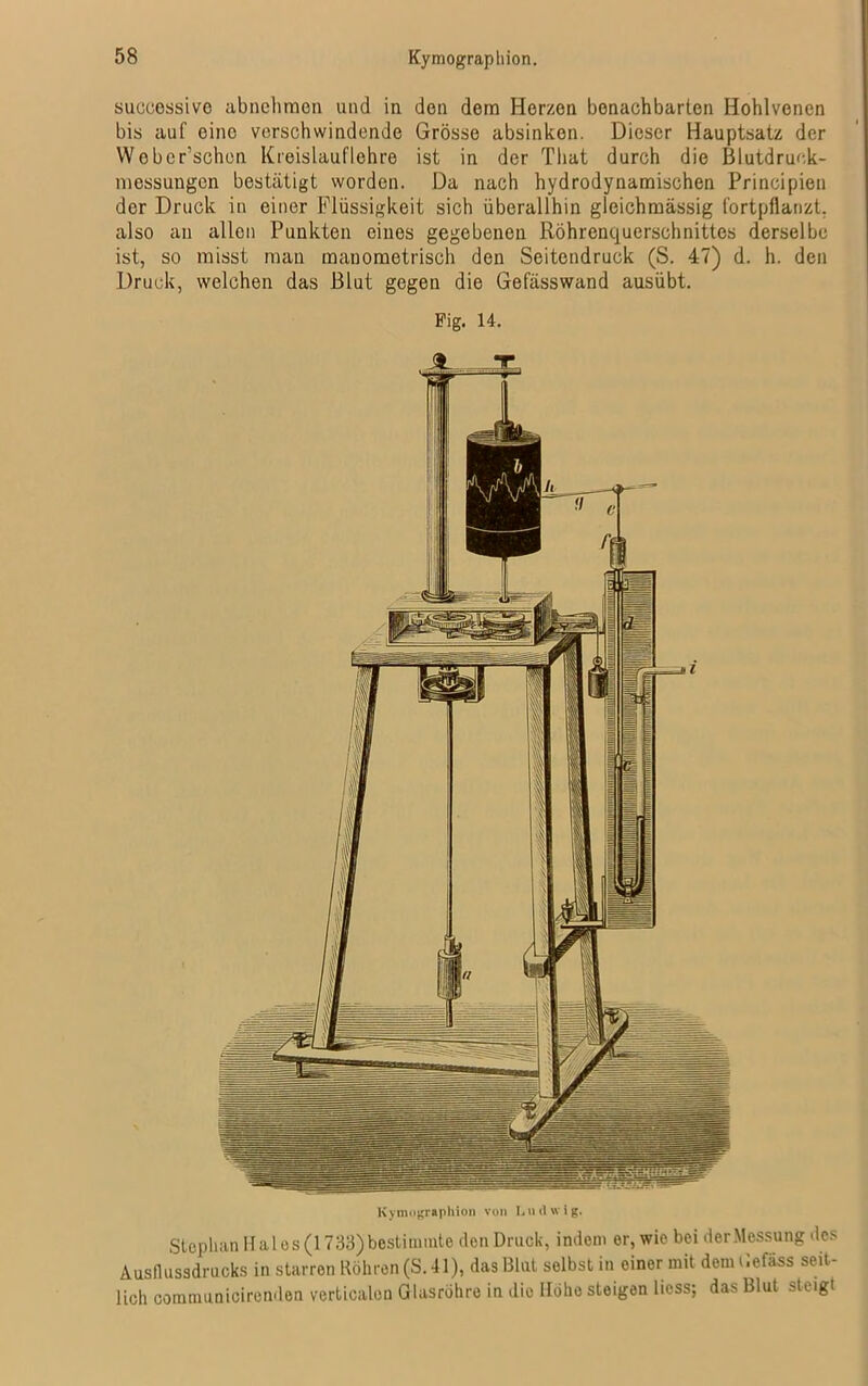 successivo abnehmon und in den dem Herzen benachbarten Hohlvenen bis auf eine verschwindende Grösse absinken. Dieser Hauptsatz der Wober’schen Kreislauflehre ist in der Tliat durch die Blutdruck- messungen bestätigt worden. Da nach hydrodynamischen Principien der Druck in einer Flüssigkeit sich überallhin gleichmässig fortpflanzt, also an allen Punkten eines gegebenen Röhrenquerschnittes derselbe ist, so misst man manometrisch den Seitendruck (S. 47) d. h. den Druck, welchen das Blut gegen die Gefässwand ausübt. Pig. 14. Kymograp liion von Ludwig. Stephan Hai es (1733)bestimmte den Druck, indem er, wie bei derMessung des Ausflussdrucks in starren Röhren (S. 41), das Blut selbst in einer mit demoefäss seit- lich communicirenden verticalen Glasröhre in die Höhe steigen liess; das Blut steigt