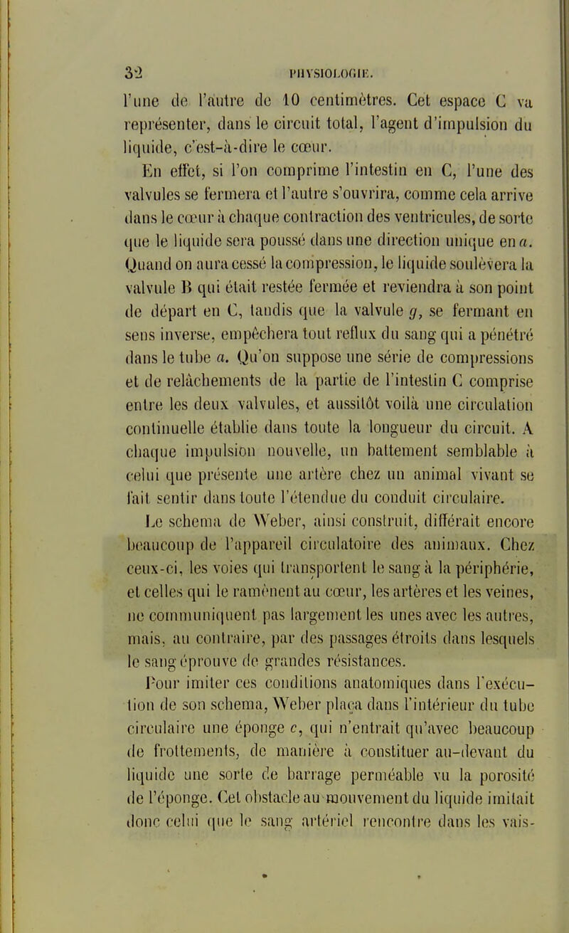 l'une de rtiiitre de 10 centimètres. Cet espace C vu représenter, dans le circuit total, l'agent d'impulsion du liquide, c'est-à-dire le cœur. En elFet, si l'on comprime l'intestin en C, l'une des valvules se fermera et l'autre s'ouvrira, comme cela arrive dans le cœur à chaque contraction des ventricules, de soi-te que le liquide sera poussé dans une direction unique ena. Quand on aura cessé la compression, le liquide soulèvera la valvule B qui était restée fermée et reviendra à son point de départ en C, tandis que la valvule g, se fermant en sens inverse, empêchera tout reflux du sang qui a pénétré dans le tube a. Qu'on suppose une série de compressions et de relâchements de la partie de l'intestin C comprise entre les deux valvules, et aussitôt voilà une circulation continuelle établie dans toute la longueur du circuit. A chaque impulsion nouvelle, un battement semblable à celui que présente une artère chez un animal vivant se fait sentir dans toute l'étendue du conduit circulaire. Le schéma de Weber, ainsi conslruit, différait encore beaucoup de l'appareil circulatoire des animaux. Chez ceux-ci, les voies qui transportent le sang à la périphérie, et celles qui le ramènent au cœur, les artères et les veines, ne communiquent pas largement les unes avec les auti'es, mais, au contraire, par des passages étroits dans lesquels le sang éprouve de grandes résistances. Pour imiter ces conditions anatomiques dans l'exécu- tion de son schéma, \Yeber plaça dans l'intérieur du tube circulaire une éponge c, qui n'entrait qu'avec beaucoup de frottements, de manière à constituer au-devant du liquide une sorte de barrage perméable vu la porosité de l'éponge. Cet obstacle au mouvement du liquide imitait donc celui que le sang artériel rencontre dans les vais-