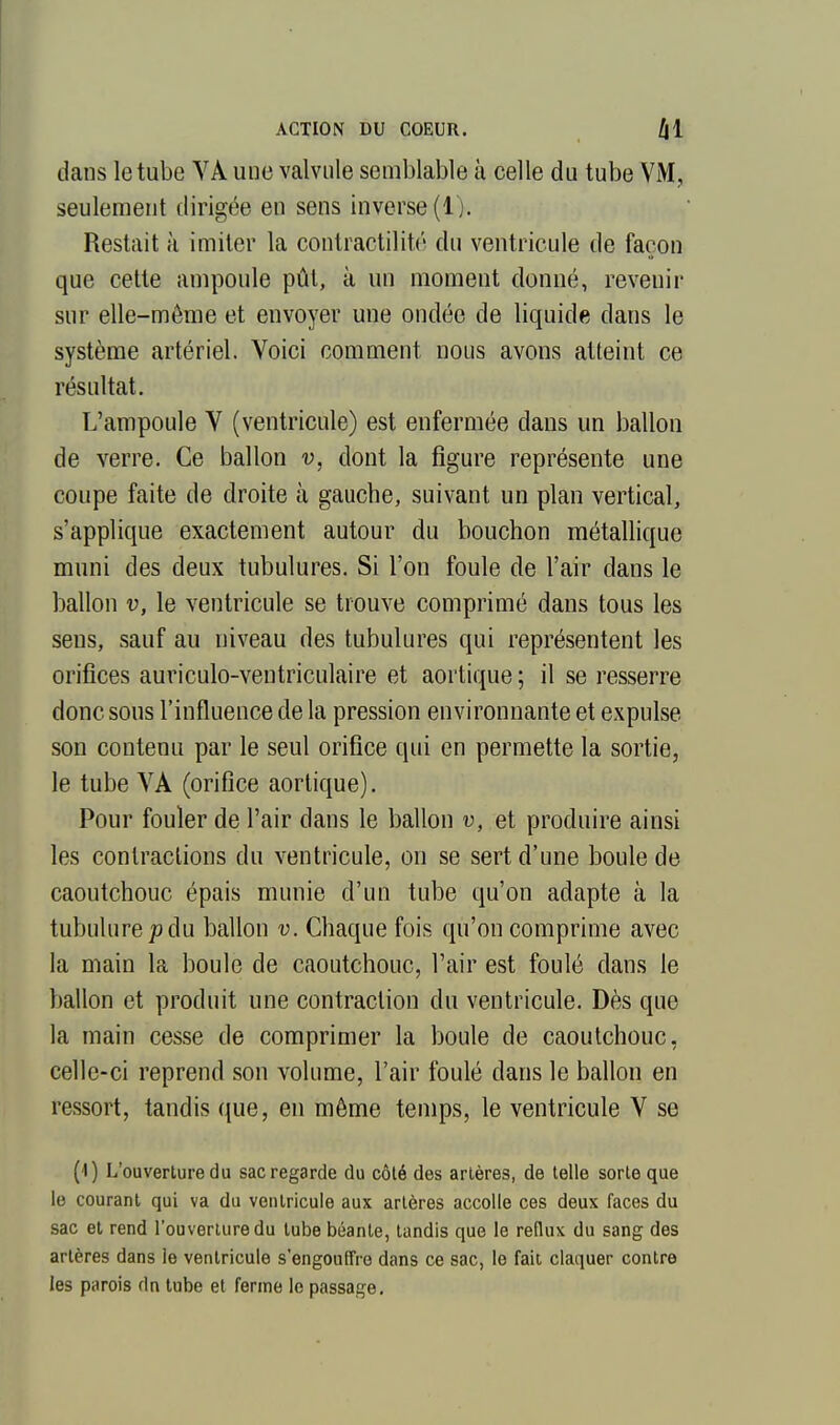 dans le tube VA une valvule semblable à celle du tube VM, seulement dirigée en sens inverse (1). Restait à imiter la conlractilité du ventricule de façon que cette ampoule pût, à un moment donné, revenir sur elle-même et envoyer une ondée de liquide dans le système artériel. Voici comment nous avons atteint ce résultat. L'ampoule V (ventricule) est enfermée dans un ballon de verre. Ce ballon v, dont la figure représente une coupe faite de droite à gauche, suivant un plan vertical, s'applique exactement autour du bouchon métallique muni des deux tubulures. Si l'on foule de l'air dans le ballon V, le ventricule se trouve comprimé dans tous les sens, sauf au niveau des tubulures qui représentent les orifices auriculo-ventriculaire et aortique ; il se resserre donc sous l'influence de la pression environnante et expulse son contenu par le seul orifice qui en permette la sortie, le tube VA (orifice aortique). Pour fouler de l'air dans le ballon v, et produire ainsi les conlraclions du ventricule, on se sert d'une boule de caoutchouc épais munie d'un tube qu'on adapte à la tubulure p du ballon v. Chaque fois qu'on comprime avec la main la boule de caoutchouc, l'air est foulé dans le ballon et produit une contraction du ventricule. Dès que la main cesse de comprimer la boule de caoutchouc, celle-ci reprend son volume, l'air foulé dans le ballon en ressort, tandis que, en môme temps, le ventricule V se (1) L'ouverture du sac regarde du côté des artères, de telle sorte que le courant qui va du ventricule aux artères accoUe ces deux faces du sac et rend l'ouverture du tube béante, tandis que le reflux du sang des artères dans le ventricule s'engouffre dans ce sac, le fait claquer contre les parois rln tube et ferme le passage.