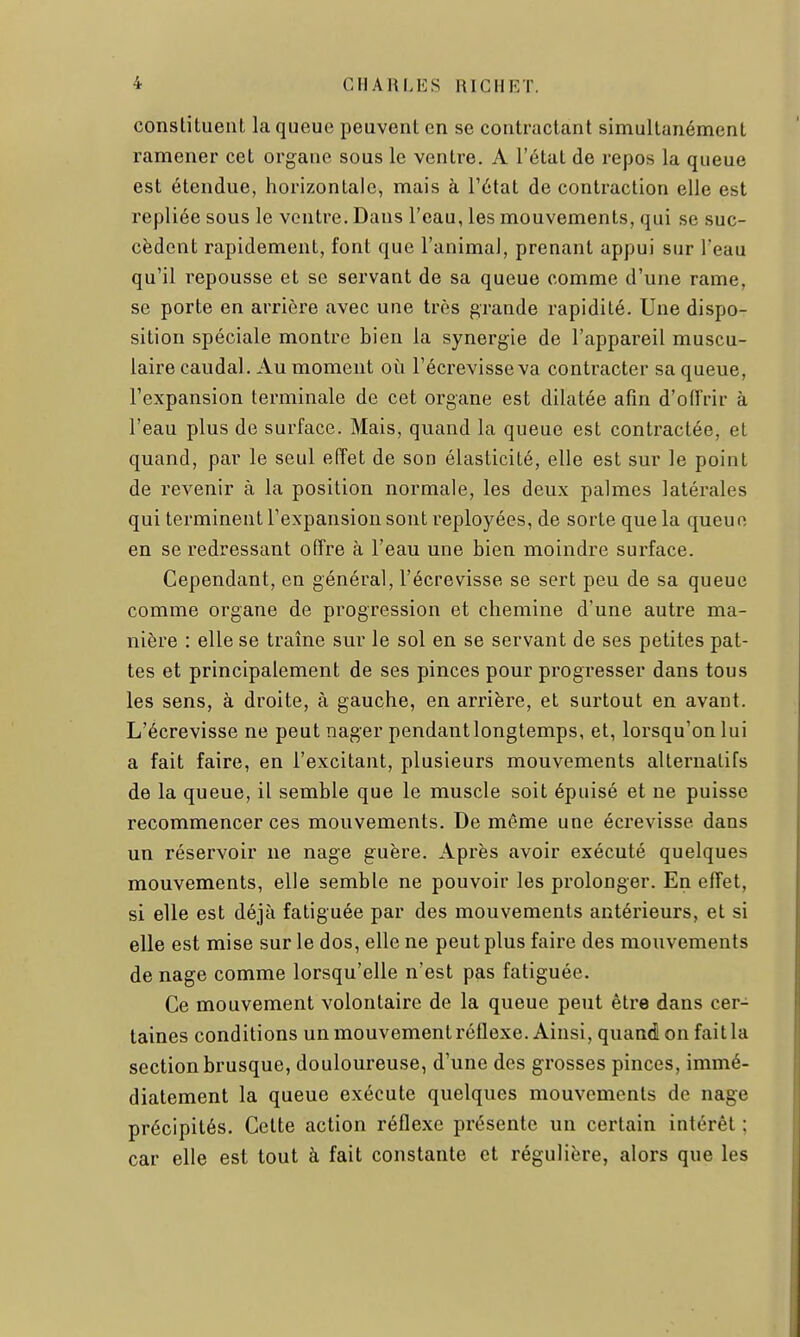 constituent la queue peuvent en se contractant simultanément ramener cet organe sous le ventre. A l'état de repos la queue est étendue, horizontale, mais à Tétat de contraction elle est repliée sous le ventre. Dans l'eau, les mouvements, qui se suc- cèdent rapidement, font que l'animal, prenant appui sur l'eau qu'il repousse et se servant de sa queue comme d'une rame, se porte en arrière avec une très grande rapidité. Une dispo- sition spéciale montre bien la synergie de l'appareil muscu- laire caudal. Au moment où l'écrevisse va contracter sa queue, l'expansion terminale de cet organe est dilatée afin d'oiïrir à l'eau plus de surface. Mais, quand la queue est contractée, et quand, par le seul effet de son élasticité, elle est sur le point de revenir à la position normale, les deux palmes latérales qui terminent l'expansion sont reployées, de sorte que la queue en se redressant offre à l'eau une bien moindre surface. Cependant, en général, l'écrevisse se sert peu de sa queue comme organe de progression et chemine d'une autre ma- nière : elle se traîne sur le sol en se servant de ses petites pat- tes et principalement de ses pinces pour progresser dans tous les sens, à droite, à gauche, en arrière, et surtout en avant. L'écrevisse ne peut nager pendant longtemps, et, lorsqu'on lui a fait faire, en l'excitant, plusieurs mouvements alternatifs de la queue, il semble que le muscle soit épuisé et ne puisse recommencer ces mouvements. De même une écrevisse dans un réservoir ne nage guère. Après avoir exécuté quelques mouvements, elle semble ne pouvoir les prolonger. En effet, si elle est déjà fatiguée par des mouvements antérieurs, et si elle est mise sur le dos, elle ne peut plus faire des mouvements de nage comme lorsqu'elle n'est pas fatiguée. Ce mouvement volontaire de la queue peut être dans cer- taines conditions un mouvement réflexe. Ainsi, quand on fait la section brusque, douloureuse, d'une des grosses pinces, immé- diatement la queue exécute quelques mouvements de nage précipités. Cette action réflexe présente un certain intérêt : car elle est tout à fait constante et régulière, alors que les