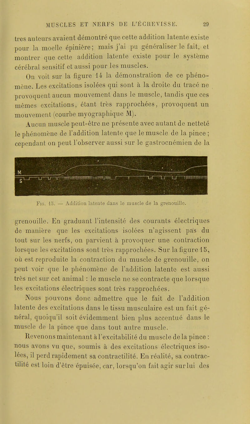 très auteurs avaient démontré que cette addition latente existe pour la moelle épinière; mais j'ai pu généraliser le fait, et montrer que cette addition latente existe pour le système cérébral sensitif et aussi pour les muscles. On voit sur la figure 14 la démonstration de ce phéno- mène. Les excitations isolées qui sont à la droite du tracé ne provoquent aucun mouvement dans le muscle, tandis que ces mêmes excitations, étant très rapprochées, provoquent un mouvement (courbe myographique M). Aucun muscle peut-être ne présente avec autant de netteté le phénomène de l'addition latente que le muscle de la pince ; cependant on peut l'observer aussi sur le gastrocnémien de la FiG. 13. — AdditioQ latente dans le muscle de la grenouille. grenouille. En graduant l'intensité des courants électriques de manière que les excitations isolées n'agissent pas du tout sur les nerfs, on parvient à provoquer une contraction lorsque les excitations sont très rapprochées. Sur la figure 15, où est reproduite la contraction du muscle de grenouille, on peut voir que le phénomène de l'addition latente est aussi très net sur cet animal : le muscle ne se contracte que lorsque les excitations électriques sont très rapprochées. Nous pouvons donc admettre que le fait de l'addition latente des excitations dans le tissu musculaire est un fait gé- néral, quoiqu'il soit évidemment bien plus accentué dans le muscle de la pince que dans tout autre muscle. Revenons maintenant à l'excitabilité du muscle delà pince : nous avons vu que, soumis à des excitations électriques iso- lées, il perd rapidement sa contractilité. En réalité, sa contrac- tdité est loin d'être épuisée, car, lorsqu'on fait agir surlui des