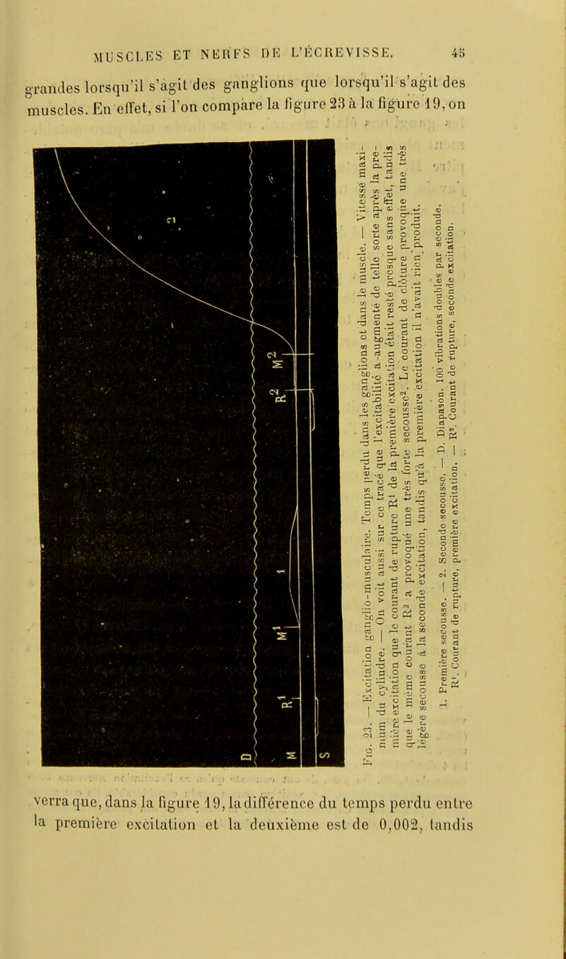 grandes lorsqu'il s'agit des ganglions que lorsqu'il s'agit des muscles. En effet, si l'on compare la ligure 23 à la figure 19, on I 1 wï en >t t« ^ -* S rt 5 g 0 ÏL ta <1> .ti Ci, a; 2 *J ■-^ ^ o'5 1 t: s o o ^ en o o « 2 <a  2 î ■ .t c ^ £3 -3 <U ^ ^ _ S 'S .S  sd ^  = 2 d a o o ■ o — ^ *^ o tn S -ï O o o o o u .— cj O a. X d ri s o o »<! ^ ^ .03 - !P S. 03 i* ï -03 „ a — o ^ tn p 5; S 2  03 C :2  a C « . t ^ ' 03 a -03 C ï< 2- 3 O r— 03 o ri 3 W qj > *J O 3 -XS p -3 2 ^ ^ =: M . c a rt ir 3 ea o c! 5c5 ai es O o M -, O S o g .2 2 B O -, g « q3 C3 « O 2 O- g -ri T5 d « 03 ri o m .-! 03 to 7 =< fc; s g 5 :H - -a, 3 • a ci ! g 1 o verra que, dans la figure 19, la différence du temps perdu entre la première cxxitation et la deuxième est de 0,002, tandis