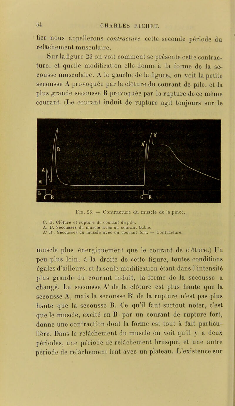 lier nous appellerons contracinre colle seconde période du relâciiemenl musculaire. Sur lafigure 25 on voit commenl se présente cette contrac- ture, et quelle modification elle donne à la forme de la se- cousse musculaire. A la gauche delà ligure, on voit la petite secousse A provoquée par la clôture du courant de pile, et la plus grande secousse B provoquée par la rupture de ce même courant. (Le courant induit de rupture agit toujours sur le Fio. 2o. — Contracture du muscle de la pince. C. R. Clôture et rupture du courant de pile. A. B. Secousses du iriuscle avec un couraut faible. A' B'. Secousses du muscle avec un courant /ort. — Contracture. muscle plus énergiquement que le courant de clôture.) Un peu plus loin, à la droite de cette ligure, toutes conditions égales d'ailleurs, et la seule modification étant dans l'intensité plus grande du courant induit, la forme de la secousse a changé. La secousse A' de la clôture est plus haute que la secousse A, mais la secousse B' de la rupture n'est pas plus haute que la secousse B. Ce qu'il faut surtout noter, c'est que le muscle, excité en B' par un courant de rupture fort, donne une contraction dont la forme est tout à fait particu- lière. Dans le relâchement du muscle on voit qu'il y a deux périodes, une période de relAchement brusque, et une autre période de relâchement lent avec un plateau. L'existence sur