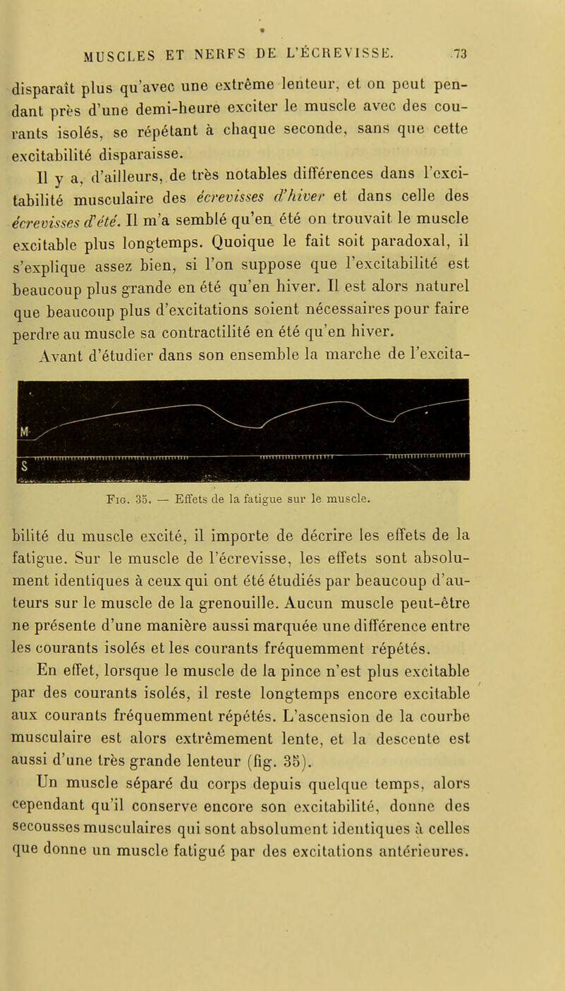 disparaît plus qu'avec une extrême lenteur, et on peut pen- dant près d'une demi-heure exciter le muscle avec des cou- rants isolés, se répétant à chaque seconde, sans que cette excitabilité disparaisse. Il y a, d'ailleurs, de très notables différences dans l'cxci- fabilité musculaire des écrevisses d'hiver et dans celle des écrevisses d'été. Il m'a semblé qu'en été on trouvait le muscle excitable plus longtemps. Quoique le fait soit paradoxal, il s'explique assez bien, si l'on suppose que l'excitabilité est beaucoup plus grande en été qu'en hiver. Il est alors naturel que beaucoup plus d'excitations soient nécessaires pour faire perdre au muscle sa contractilité en été qu'en hiver. Avant d'étudier dans son ensemble la marche de l'excita- S FiG. 35. — Effets de la fatigue sur le muscle. bilité du muscle excité, il importe de décrire les effets de la fatigue. Sur le muscle de l'écrevisse, les effets sont absolu- ment identiques à ceux qui ont été étudiés par beaucoup d'au- teurs sur le muscle de la grenouille. Aucun muscle peut-être ne présente d'une manière aussi marquée une différence entre les courants isolés et les courants fréquemment répétés. En effet, lorsque le muscle de la pince n'est plus excitable par des courants isolés, il reste longtemps encore excitable aux courants fréquemment répétés. L'ascension de la courbe musculaire est alors extrêmement lente, et la descente est aussi d'une très grande lenteur (fîg. 35). Un muscle séparé du corps depuis quelque temps, alors cependant qu'il conserve encore son excitabilité, donne des secousses musculaires qui sont absolument identiques à celles que donne un muscle fatigué par des excitations antérieures.