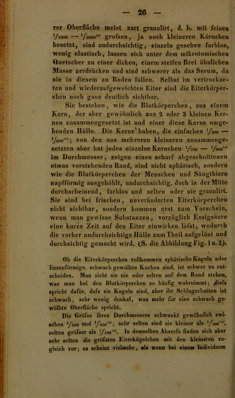 rer Oberfläche meist zart granulirt, d. li. mit feinen Vxooo —■ Vaooo' grofsen, ja noch kleineren Körnchen besetzt, sind undurchsichtig, einzeln gesehen farblos, ■wenig elastisch, lassen sich unter dem mikrotomischeu Quetscher zu einer dicken, einem steifen Brei ähnlichen Masse zerdrücken und sind schwerer als das Serum, da sie in diesem zu Boden fallen. Selbst im vertrockne- ten und wiederaufgeweichten Eiter sind die Eiterkörper- chen noch ganz deutlich sichtbar. Sie bestehen, wie die Blutkörperchen, aus einem Kern, der aber gewöhnlich aus 2 oder 3 kleinen Ker- nen zusammengesetzt ist und einer diese Kerne umge- henden Hülle. Die Kerne*'haben, die einfachen yioo — Vcoo'; von den aus mehreren kleineren zusammenge- setzten aber hat jedes einzelne Kernchen Vroo — Vwo' im Durchmesser, zeigen einen scharf abgeschnittenen etwas vorstehenden Rand, sind nicht sphärisch, sondern wie die Blutkörperchen der Menschen und Säugthiere napfförmig ausgehöhlt, undurchsichtig, doch in der Mitte durchscheinend, farblos und selten oder nie granulirt. Sie sind bei frischen, unveränderten Eiterkörperchen nicht sichtbar, sondern kommen erst zum Vorschein, wenn man gewisse Substanzen, vorzüglich Essigsäure eine kurze Zeit auf den Eiter einwirken läfst, wodurch die vorher undurchsichtige Hülle zumTheil aufgelöst und durchsichtig gemacht wird. (S. die Abbildung Fig. 1 u. 2), - a Ob die Eiterkörperchen vollkommen sphärische Kugeln oder linsenförmige, schwach gewölbte Kuchen sind, ist schwer zu ent- scheiden. Man sieht sie nie oder selten auf dem Raud stehen, was man hei den Blutkörperchen so häufig wahrnimmt; diefs spricht dafür, dafs sie Kugeln sind, aber ihr Schlagschatten ist schwach, sehr wenig dunkel, was mehr für eine schwach ge- wölbte Oberfläche spricht. Die Gröfse ihres Durchmessers schwankt gewöhnlich zwi- schen yäoo und VW, sehr selten sind sie kleiner als VW, selten gröfser als yiso'- ln demselben Abszcfs finden sich aber sehr selten die gröfsten Eiterkügclchcn mit den kleinsten zu- gleich vor; cs scheint vielmehr, als wenn bei einem Individuum